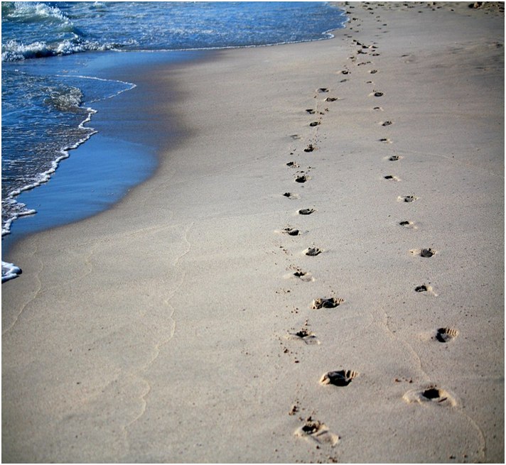 Footprints in the Sands of Time | Afnan Library