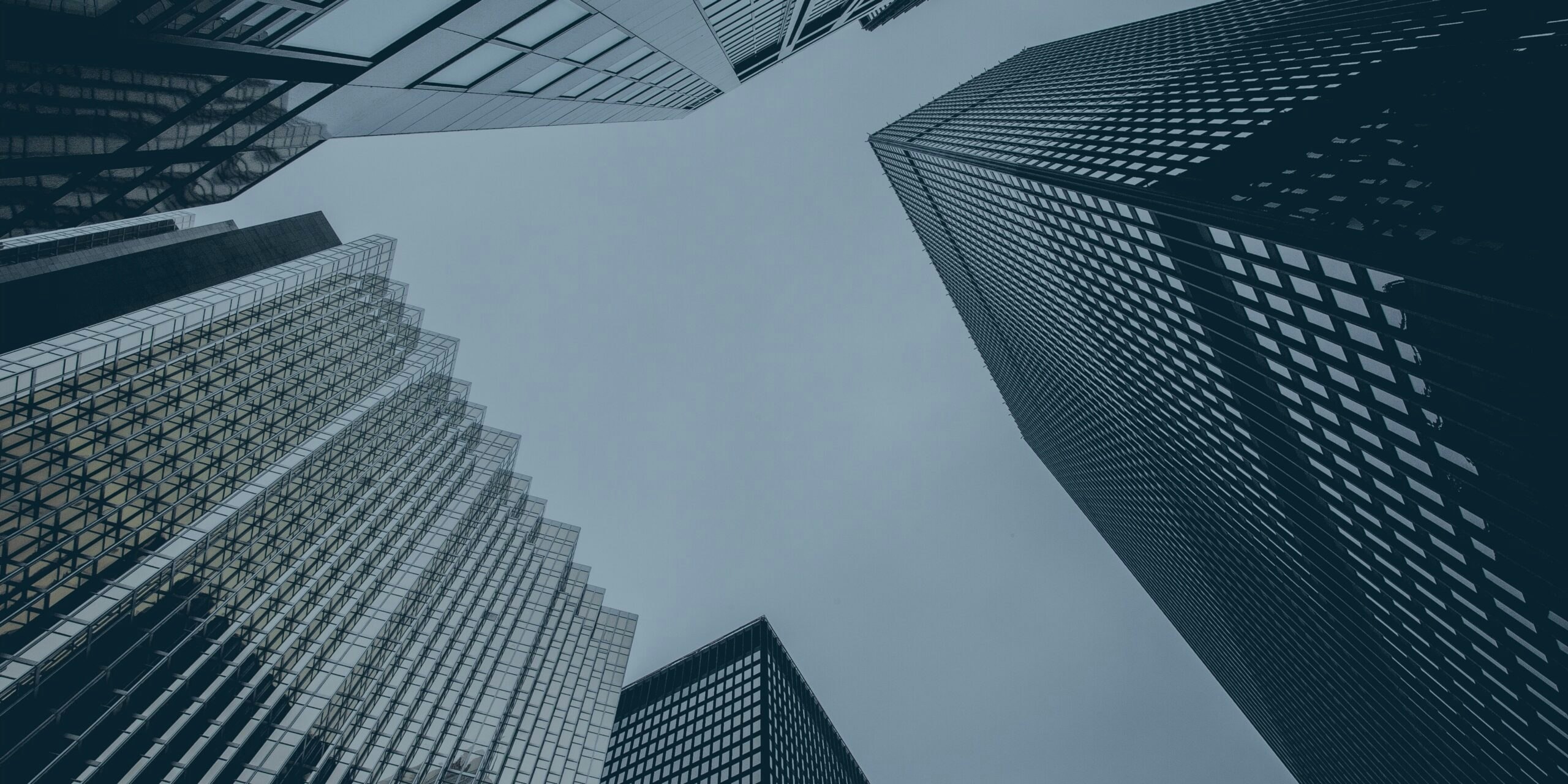 Tax Banner (1)