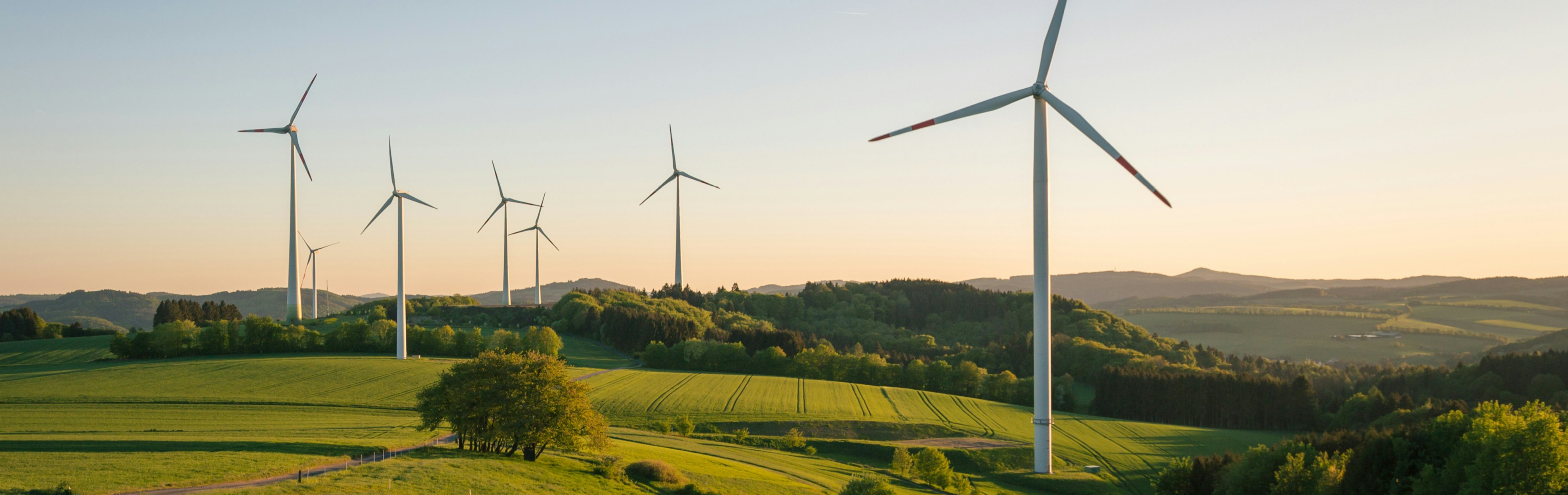Environmental investment opporunities with wealth management firm Nicola Wealth Management Environmental investment opporunities with wealth management firm Nicola Wealth Management