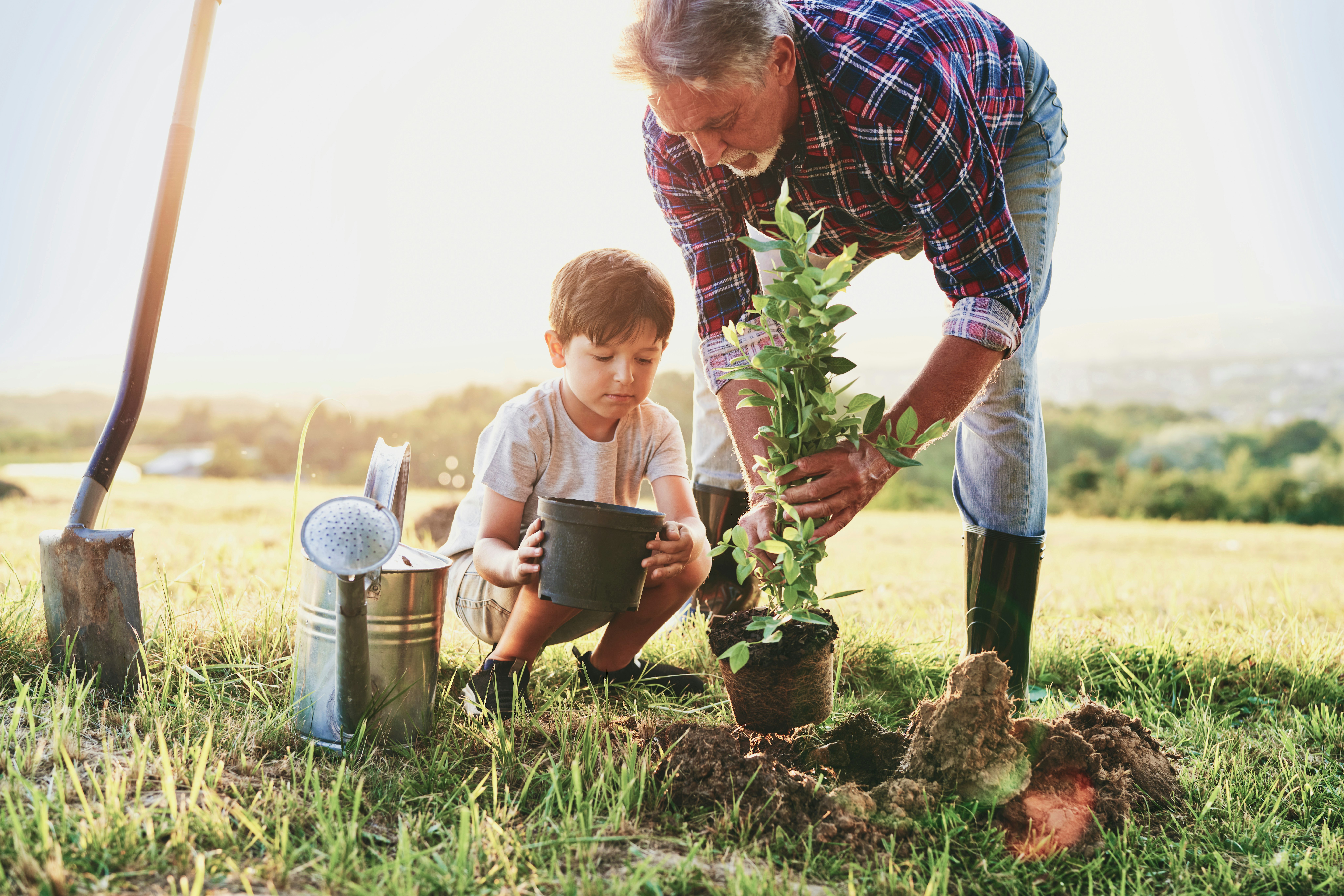Grandson and grandfather planting