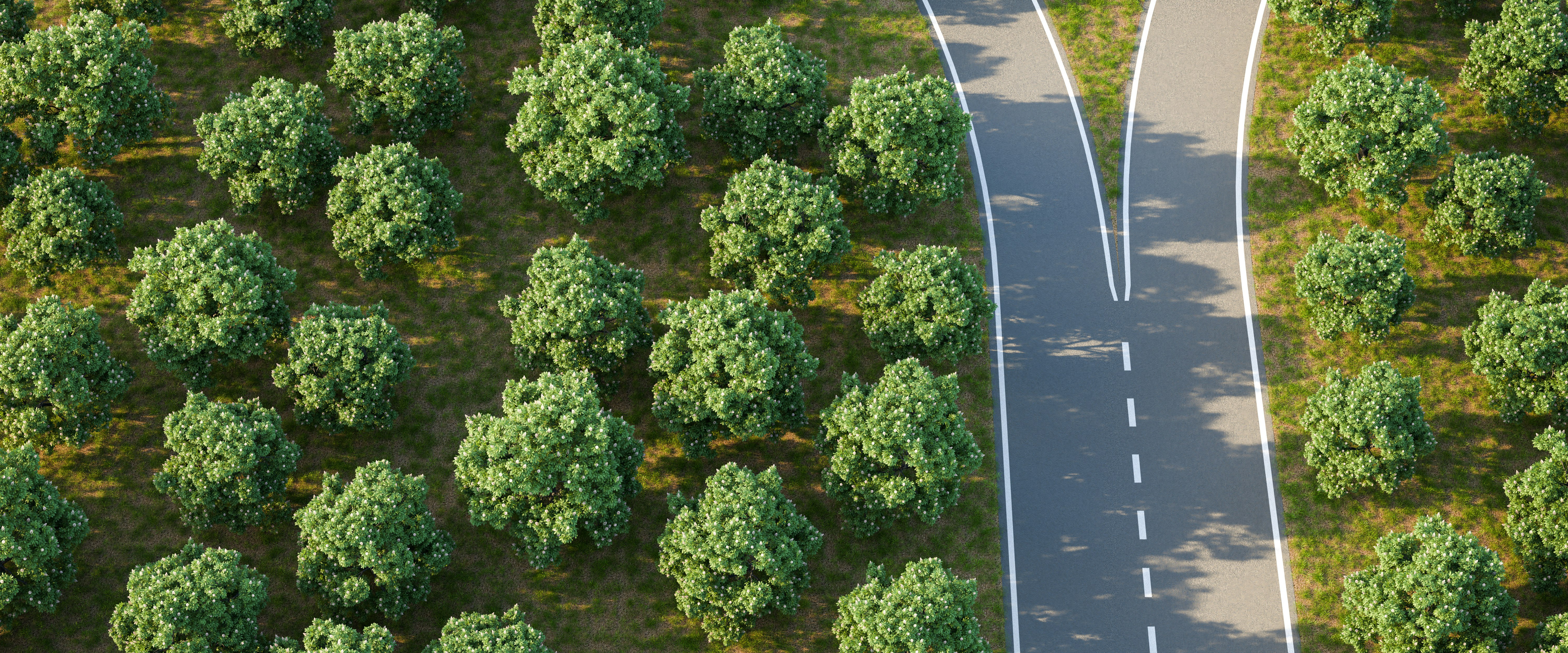 A highway showing a split where a car will either go left or right.