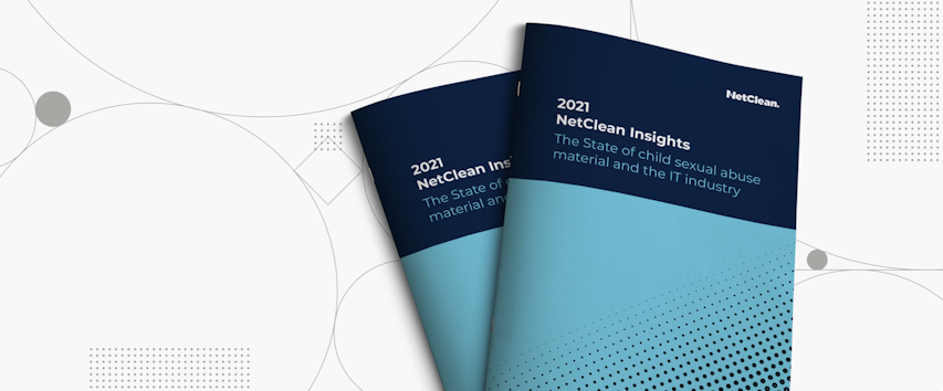 NetClean insights report