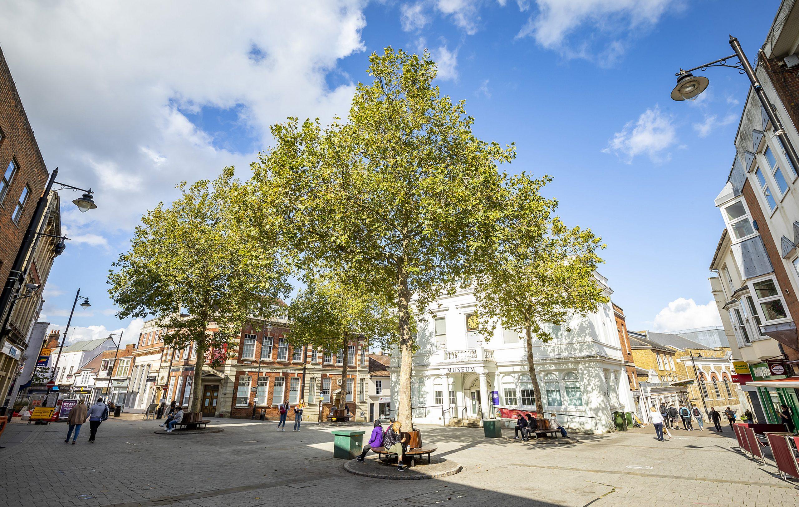 Basingstoke town centre. View of the Willis Museum with a large tree in front.