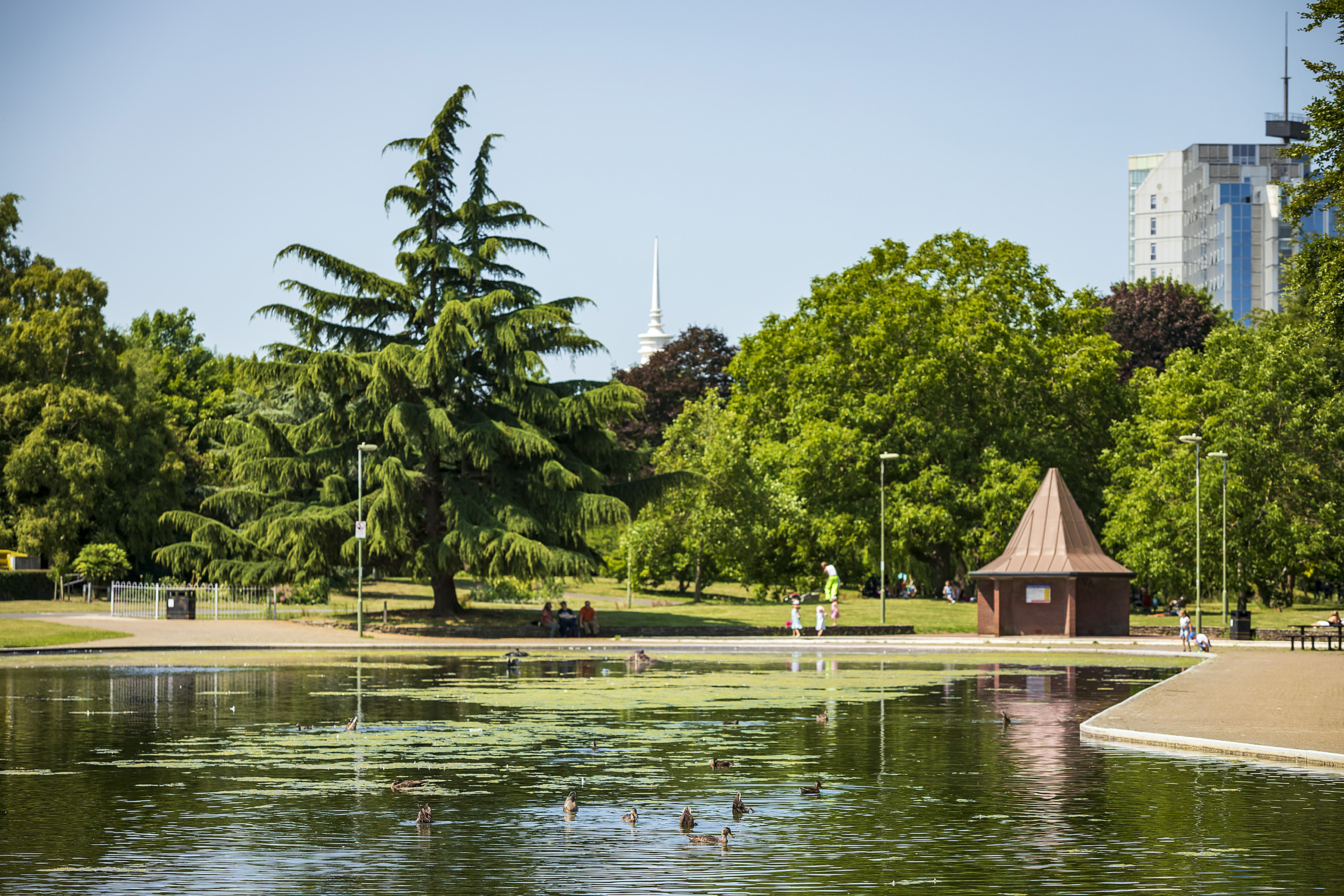 A pond with trees in the background and far away a tower block of apartments can be seen.