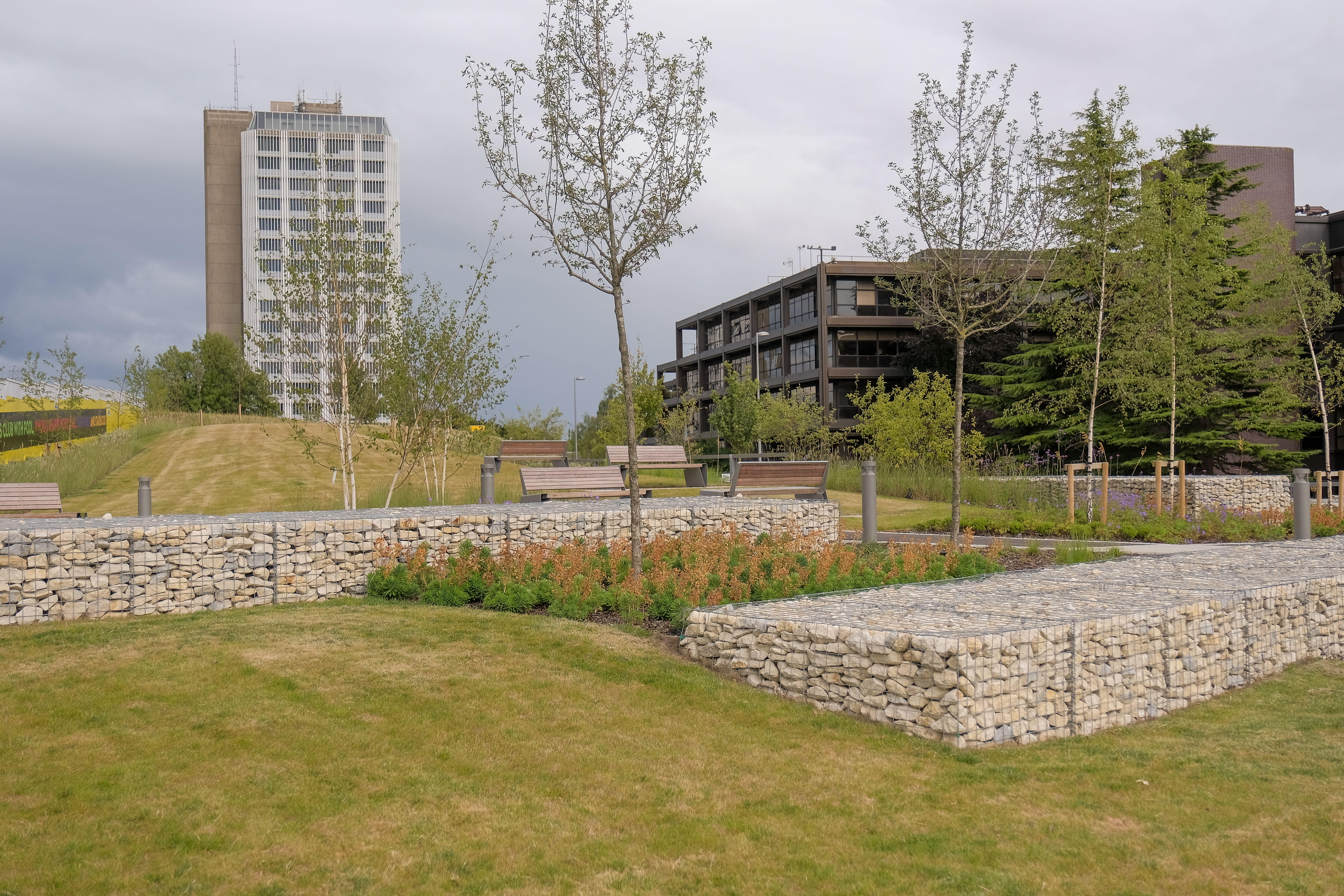 Office buildings with green space in front
