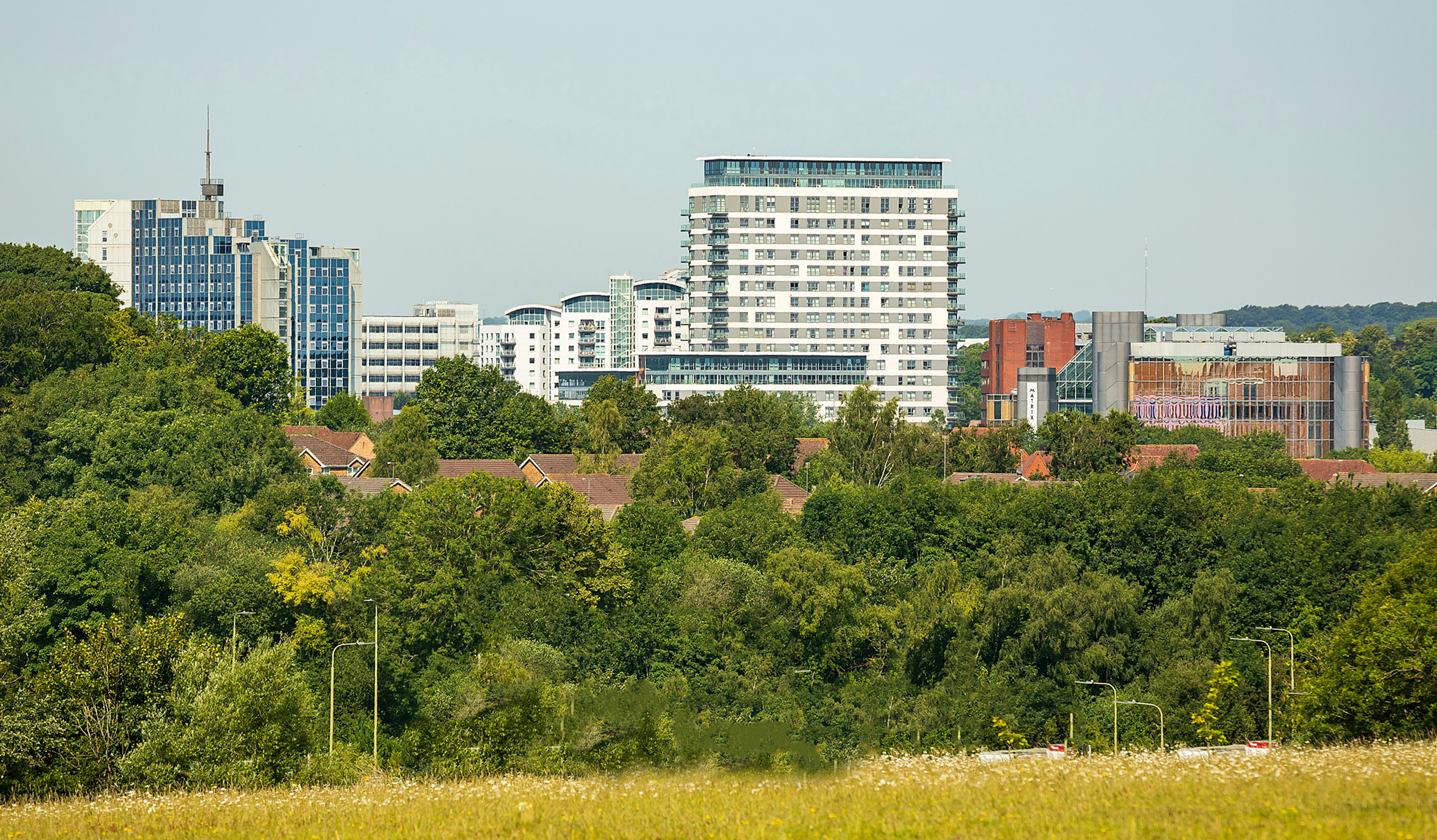 The tall buildings of Basingstoke town centre can be seen from Crabtree Plantation.