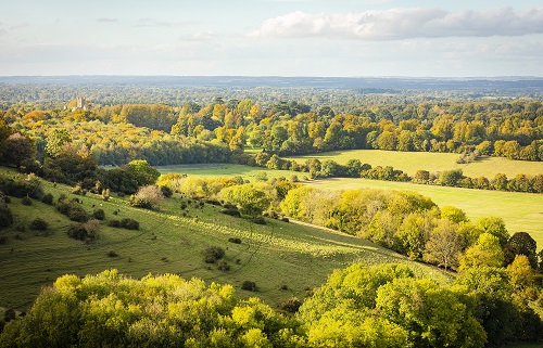 Beacon Hill view