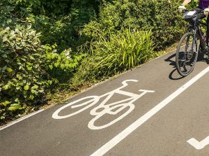 Cycle path at the Eastrop park