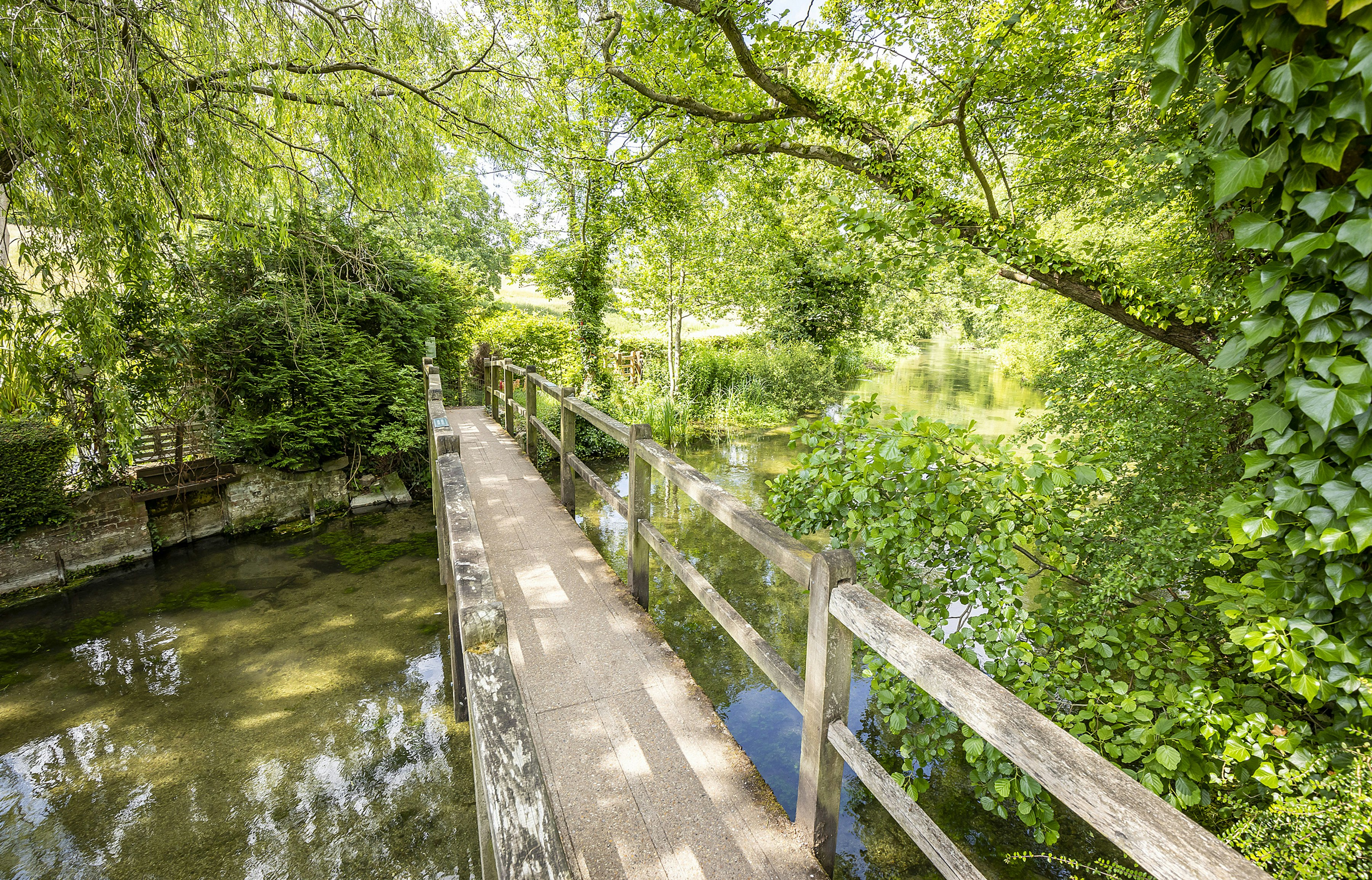 A wooden bridge over a river. Surrounded by trees.