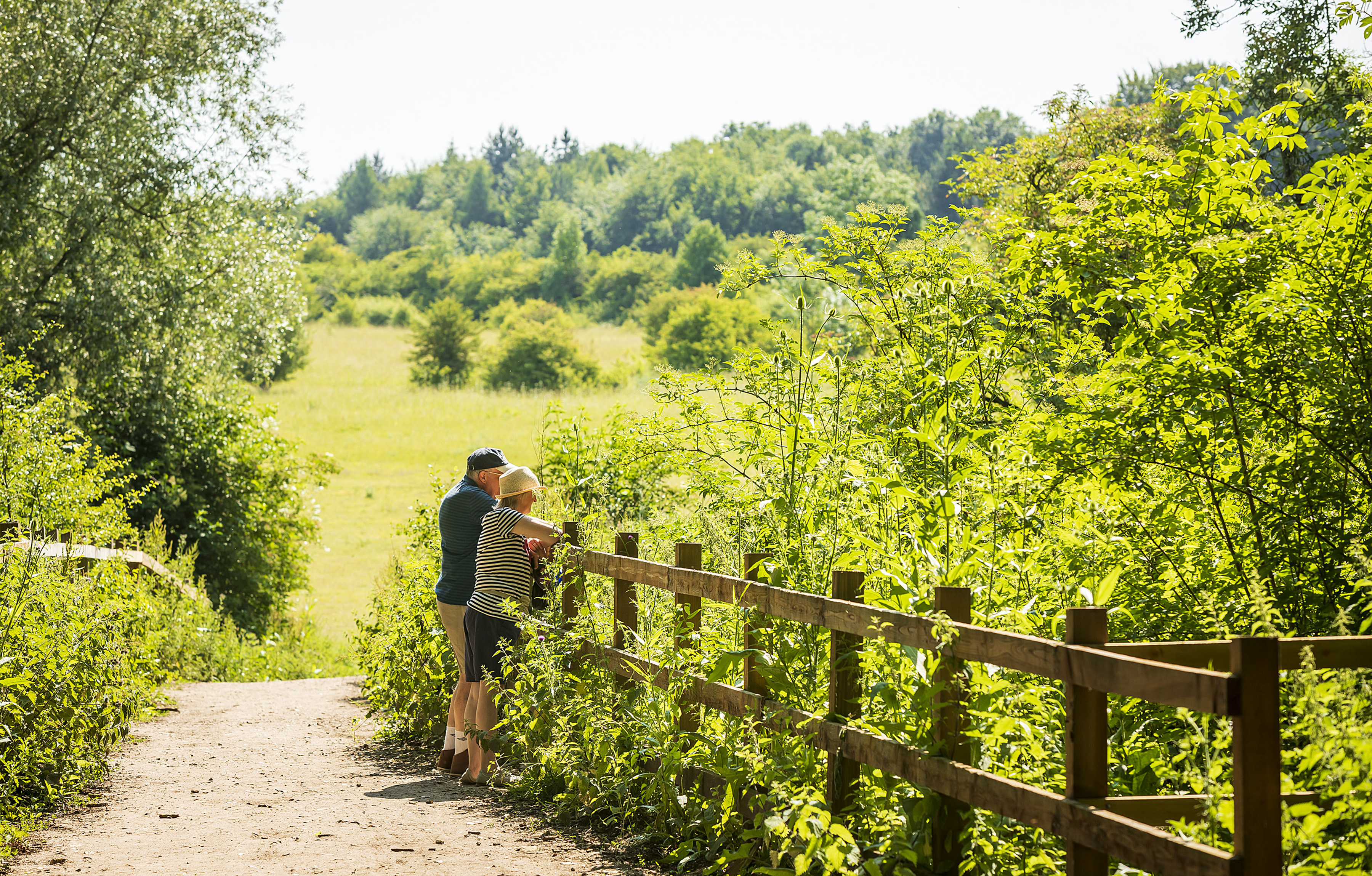 Two people stand leaning against a wooden fence looking out at the greenery. They are surrounded by trees.