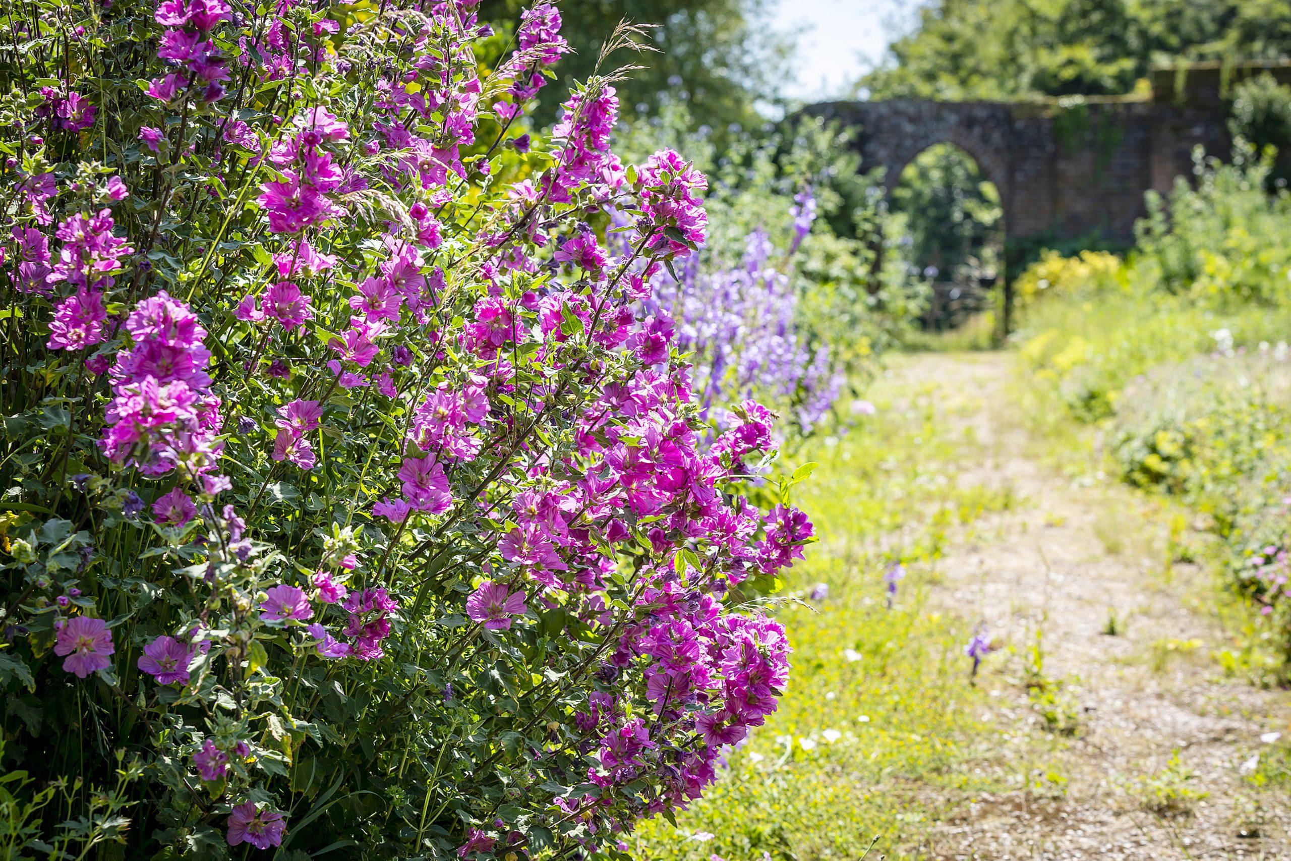 Walled Garden