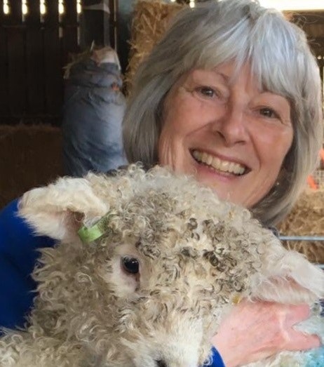 A lady smiles at the camera cuddling a small lamb.