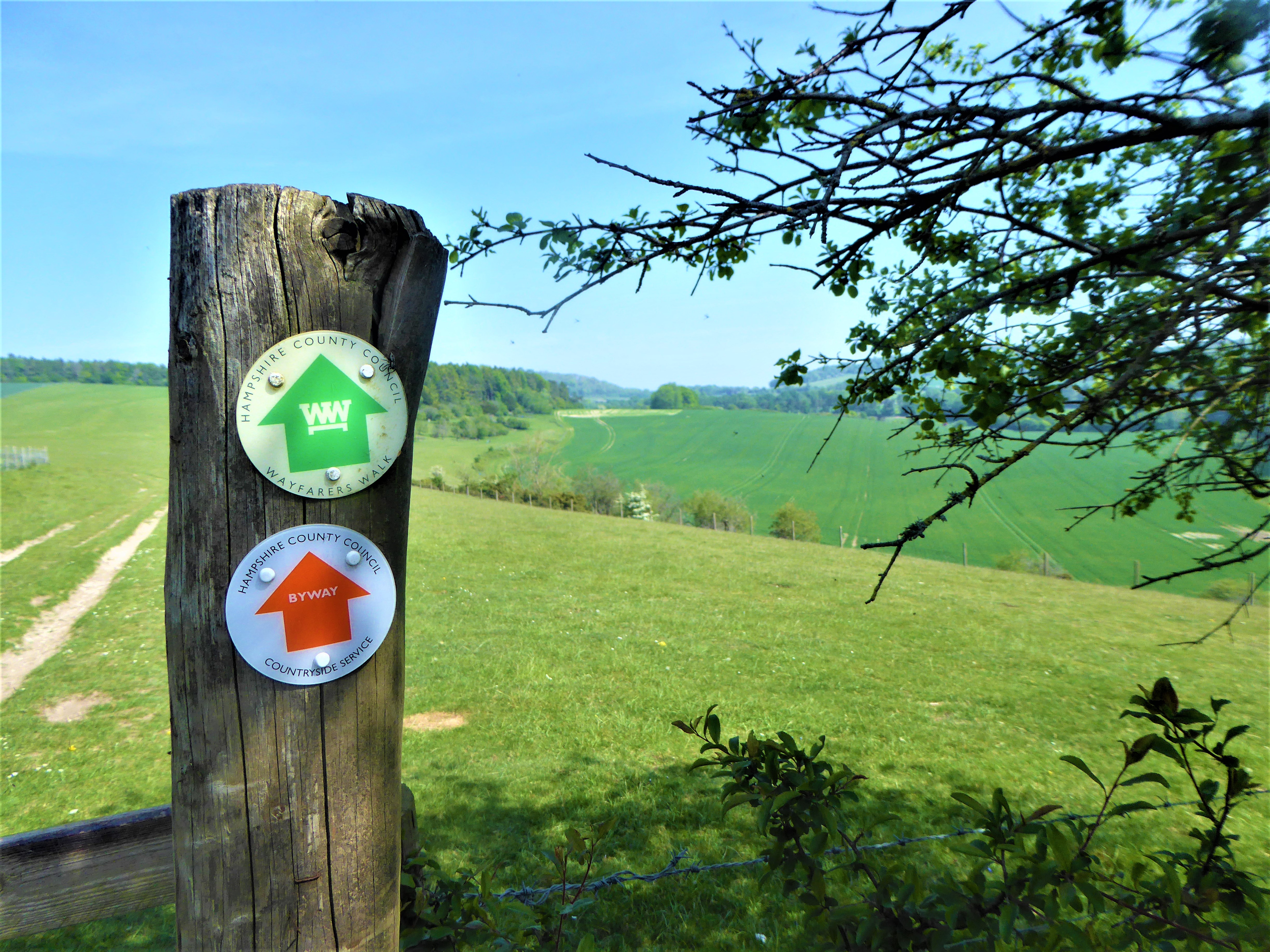 A wooden sign post with countryside in the background.