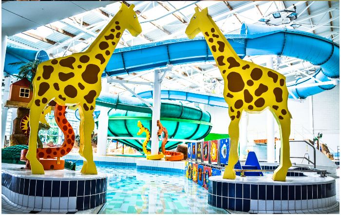 Two giraffes stand either side of the entrance to a pool. In the background you can see two flumes and other animals on the side of the pool.