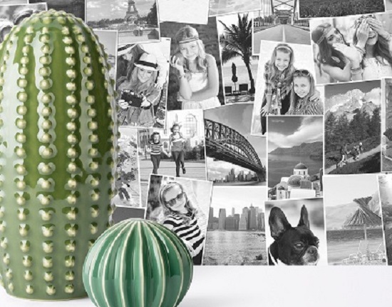 A background wallpaper of photos of people. In front are two green cacti ceramic plants.