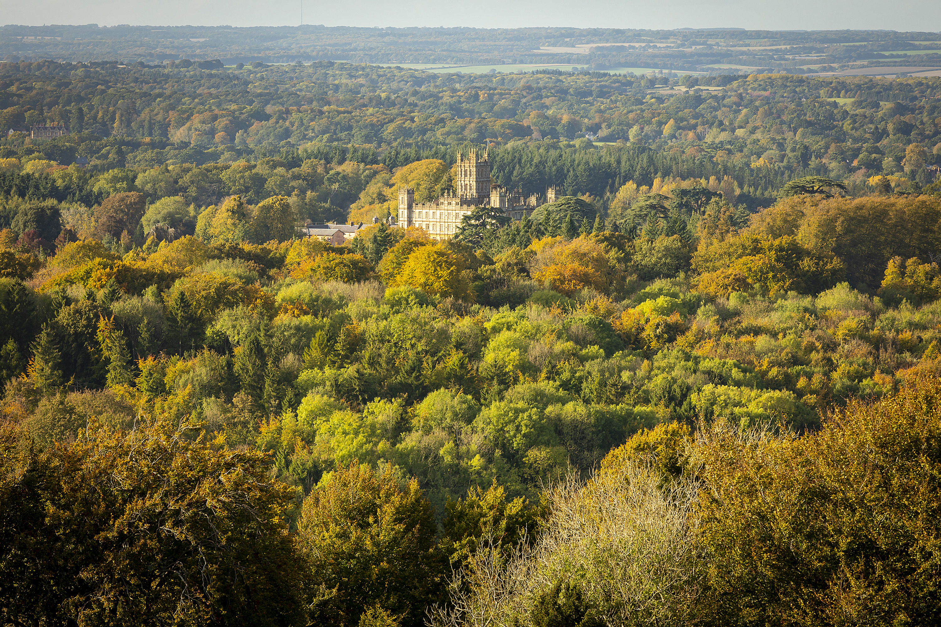 The view from Beacon Hill - you can see a castle surrounded by trees