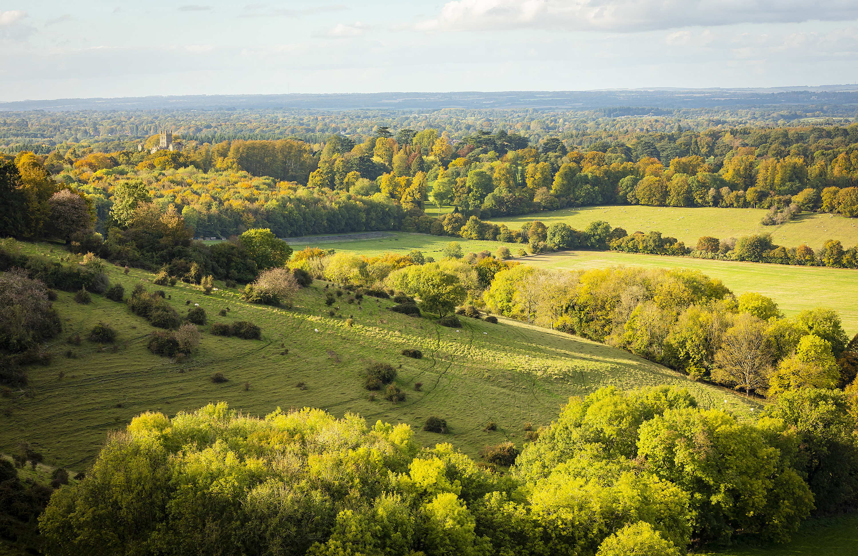 View of the countryside from Beacon Hill