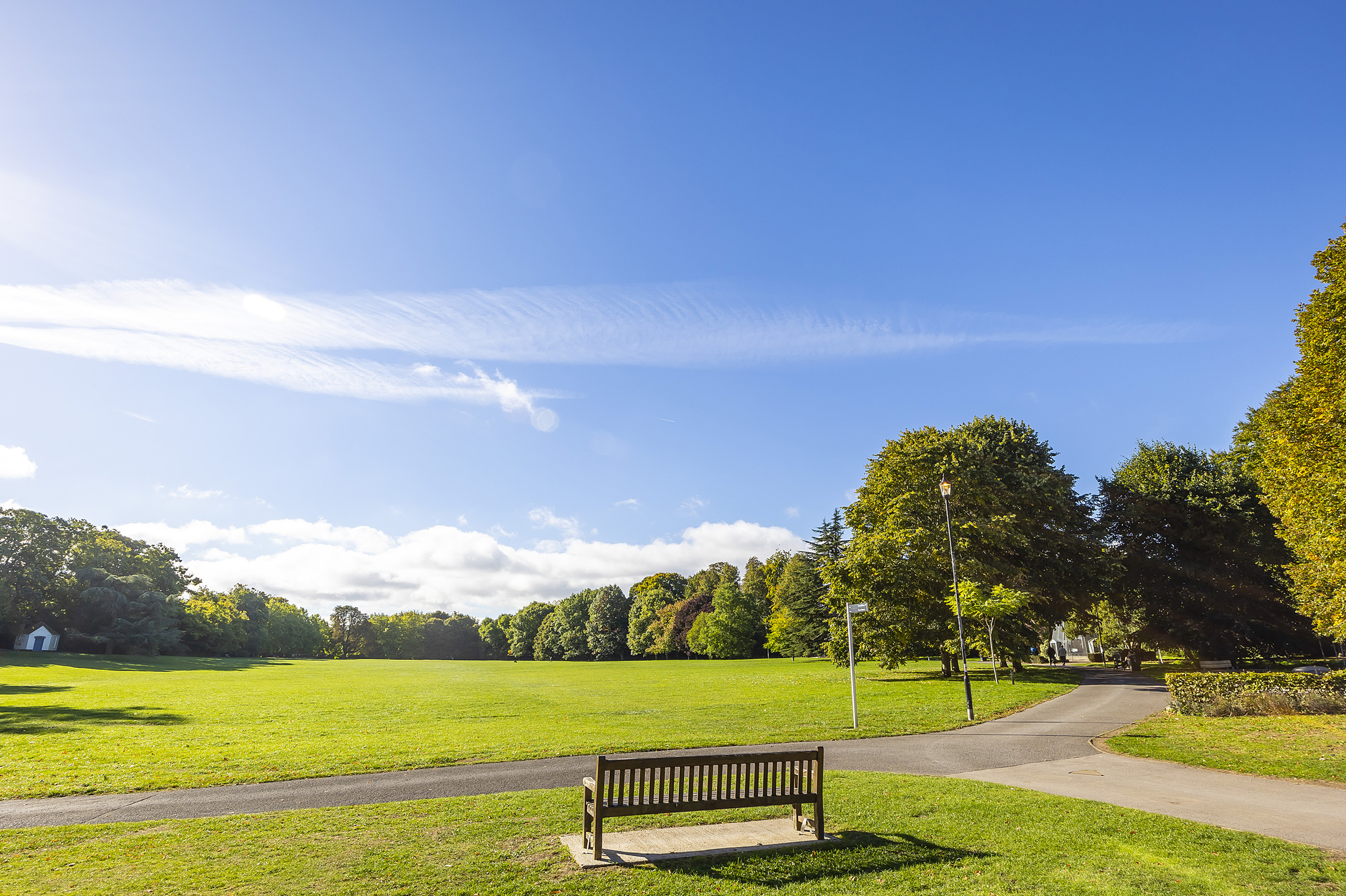 A green space with a bench.
