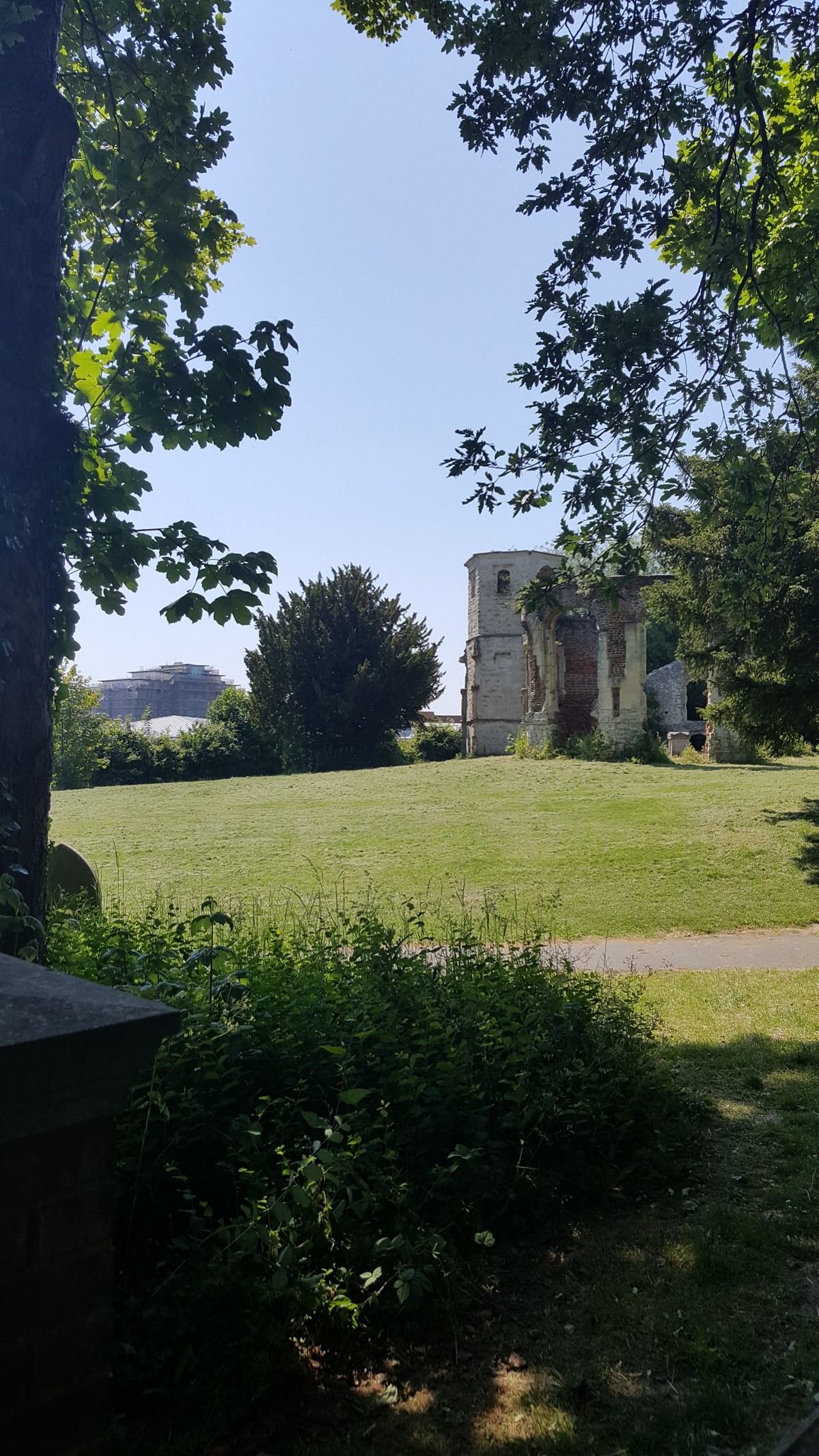 Looking through the trees you can see the remains of the Holy Ghost Cemetary.