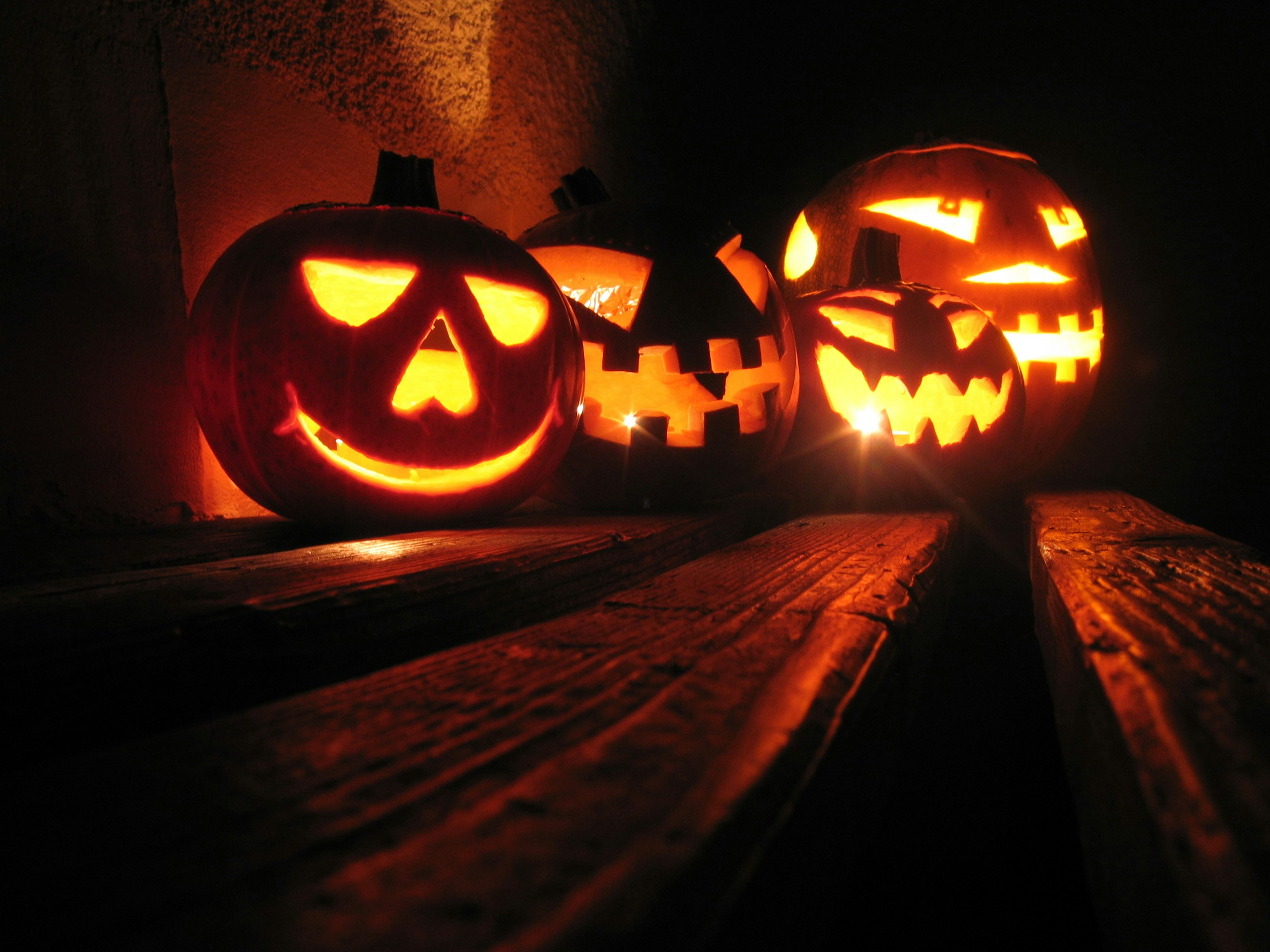 Four carved pumpkins light up a dark image.