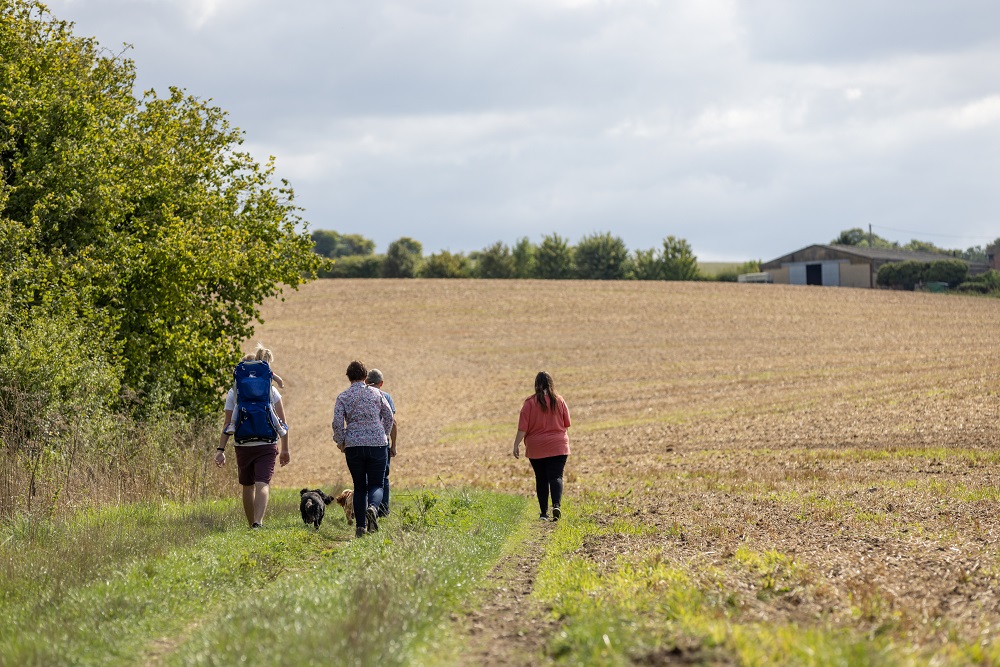 A group of four people walk across a large open field.