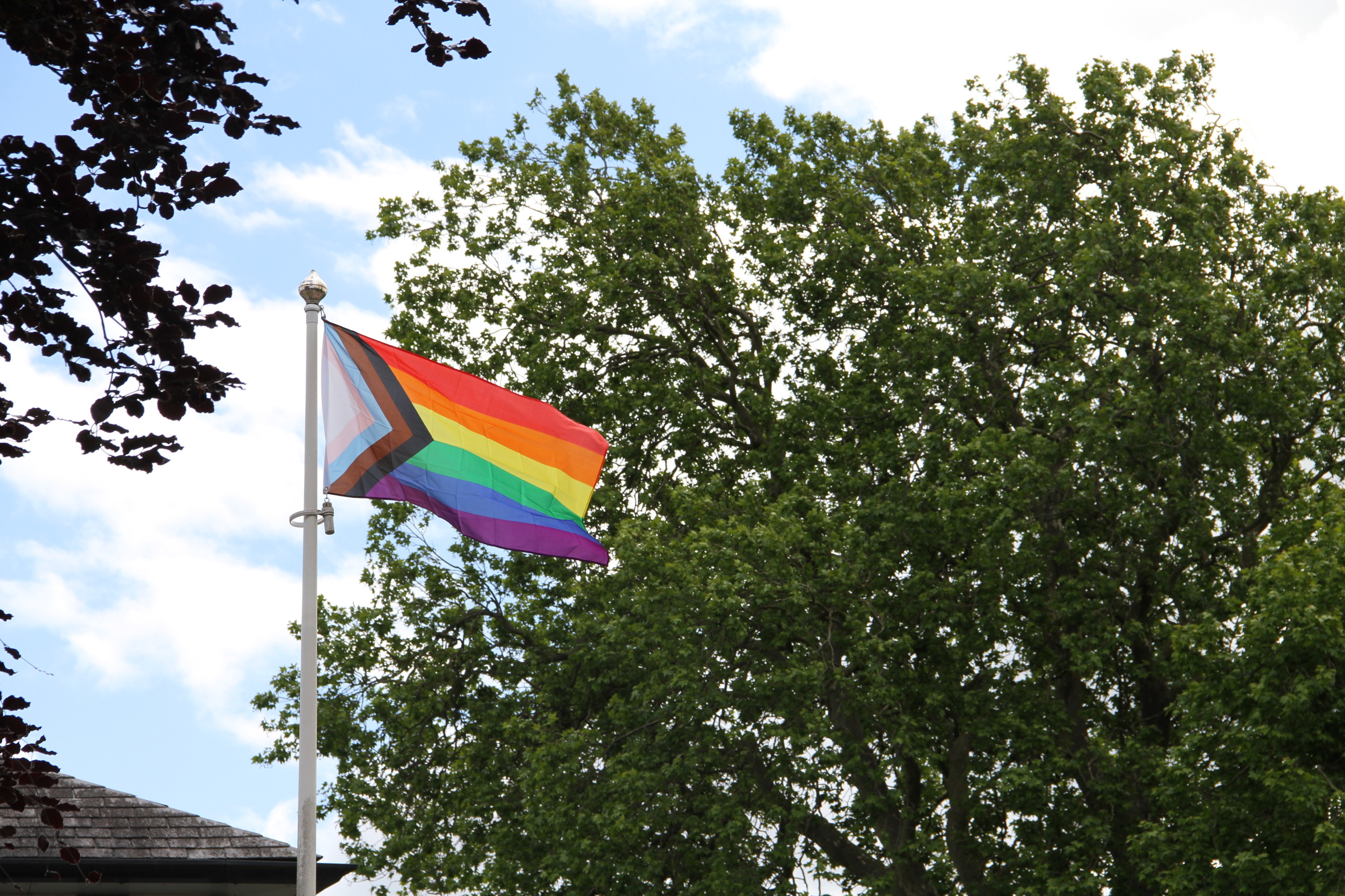 A photograph of the Pride progress flag flying outside Basingstoke and Deane Civic Offices for LGBTQ History Month. The image shows a rainbow coloured flag waving in the wind. The flag is attached to a white flag pole. In the background is a bushy green tree, the sky is blue with white fluffy clouds.