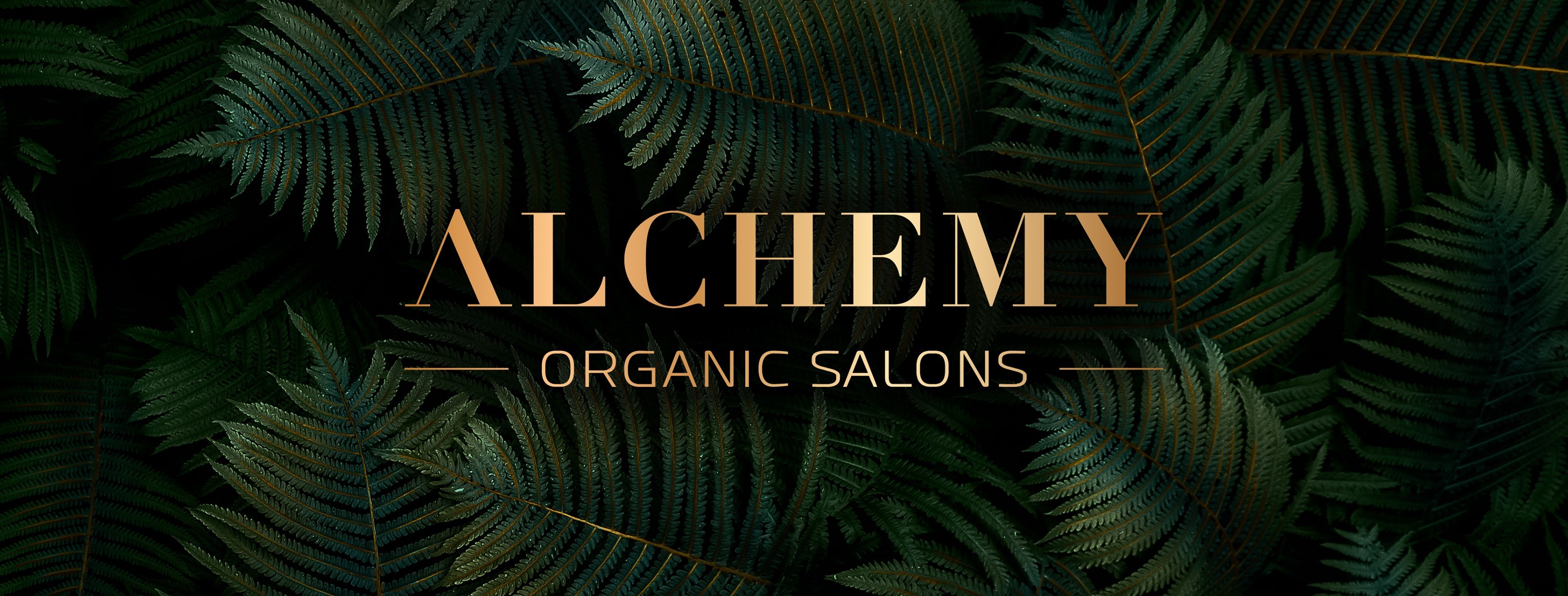 Alchemy Organic Salons logo
