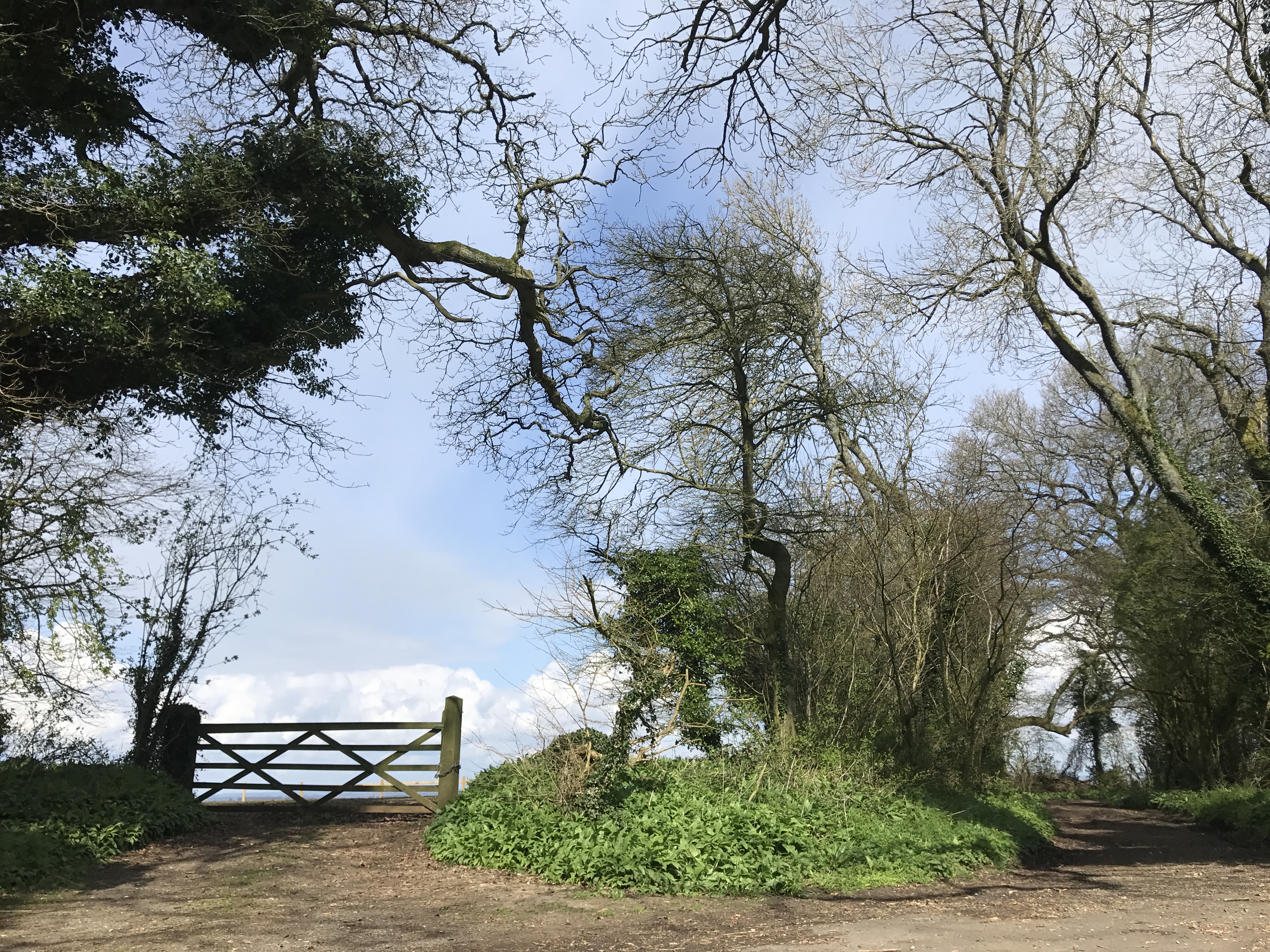 A photograph of Steventon countryside on a bright day. To the left of the image is an old wooden gate. The focus of the image is a gravel path that loops from left to right.