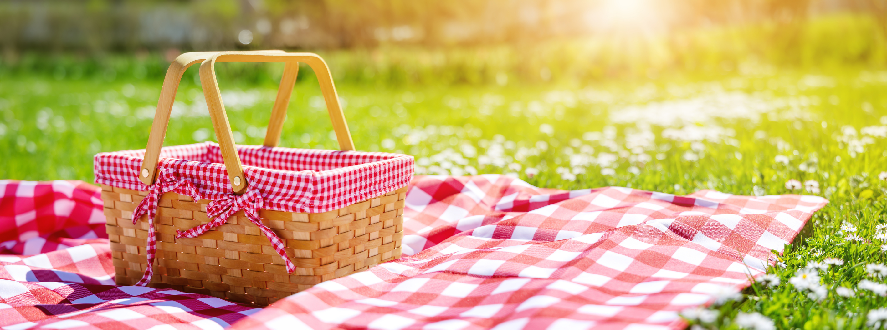 A picnic basket on a red and white check blanket on the grass.