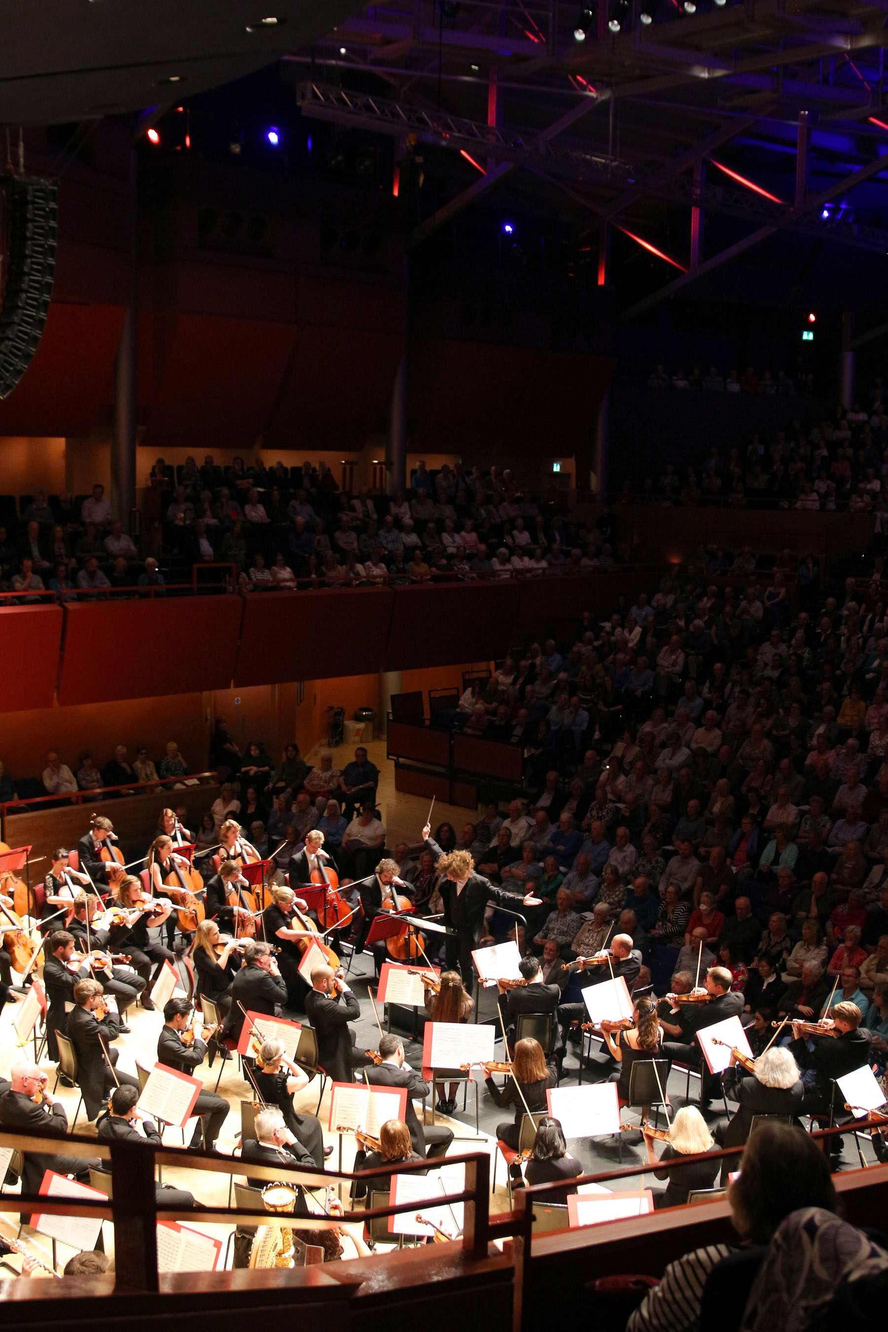 An orchestra