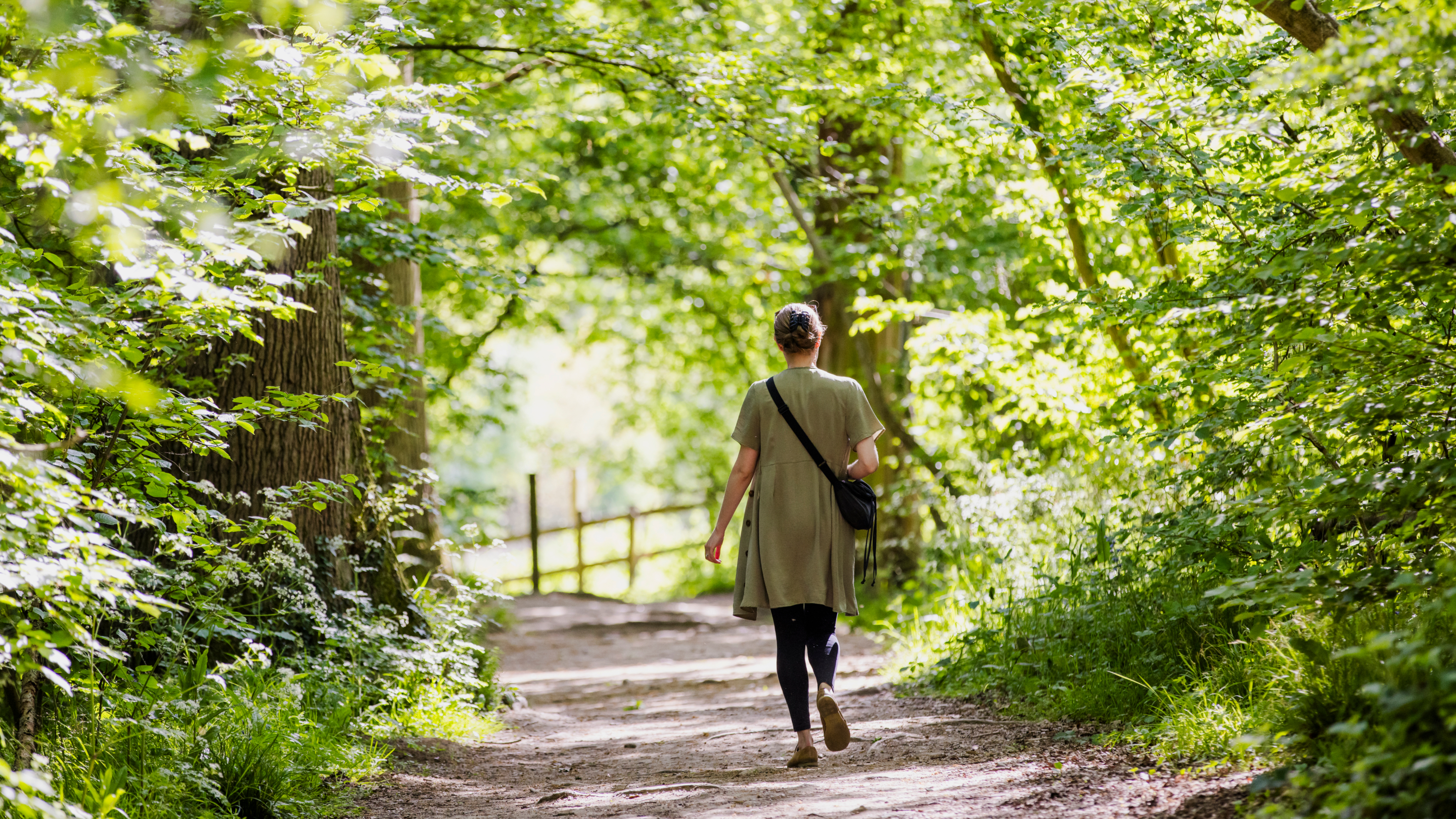 A photograph of a person walking away from the camera in a woodland.