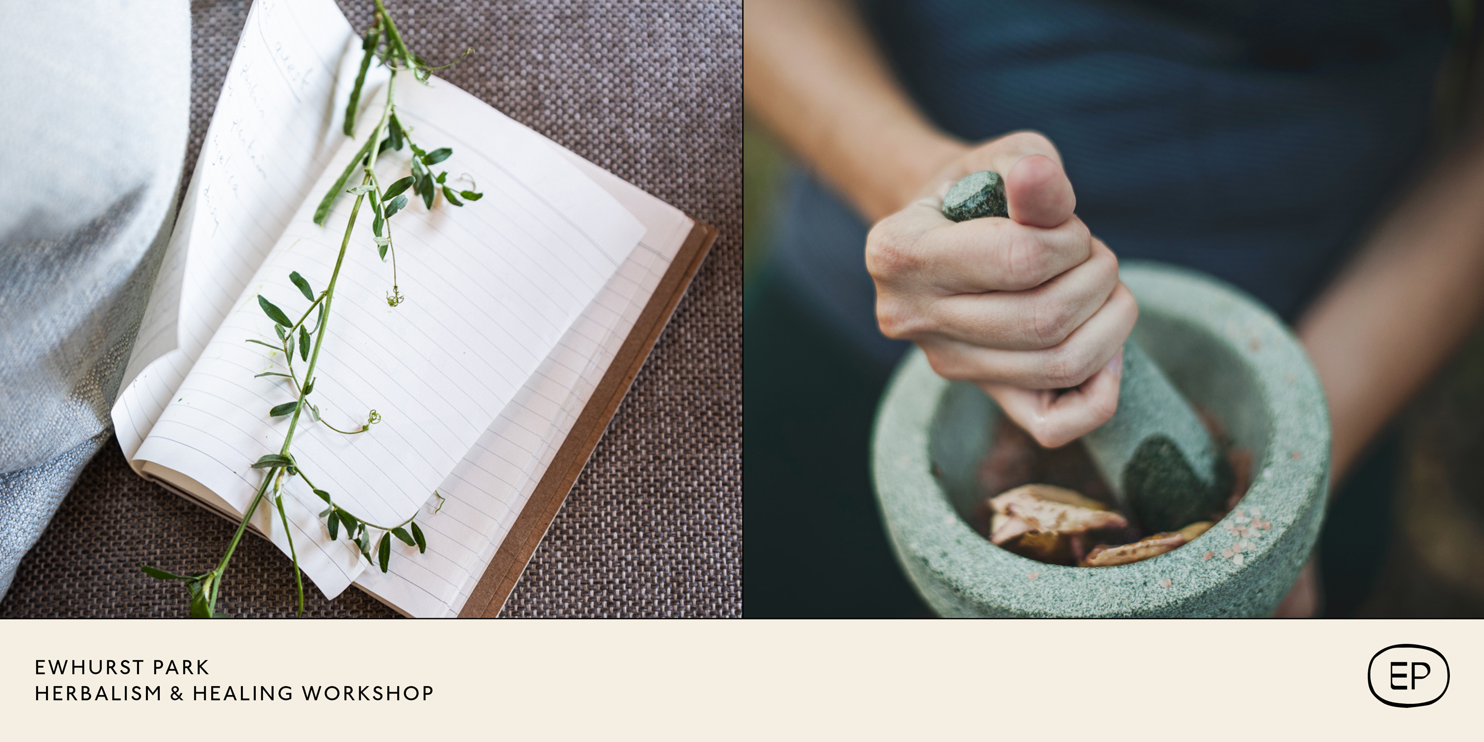 A lined book with a leafy twig on top. On the right is a stone ginder for herbs.