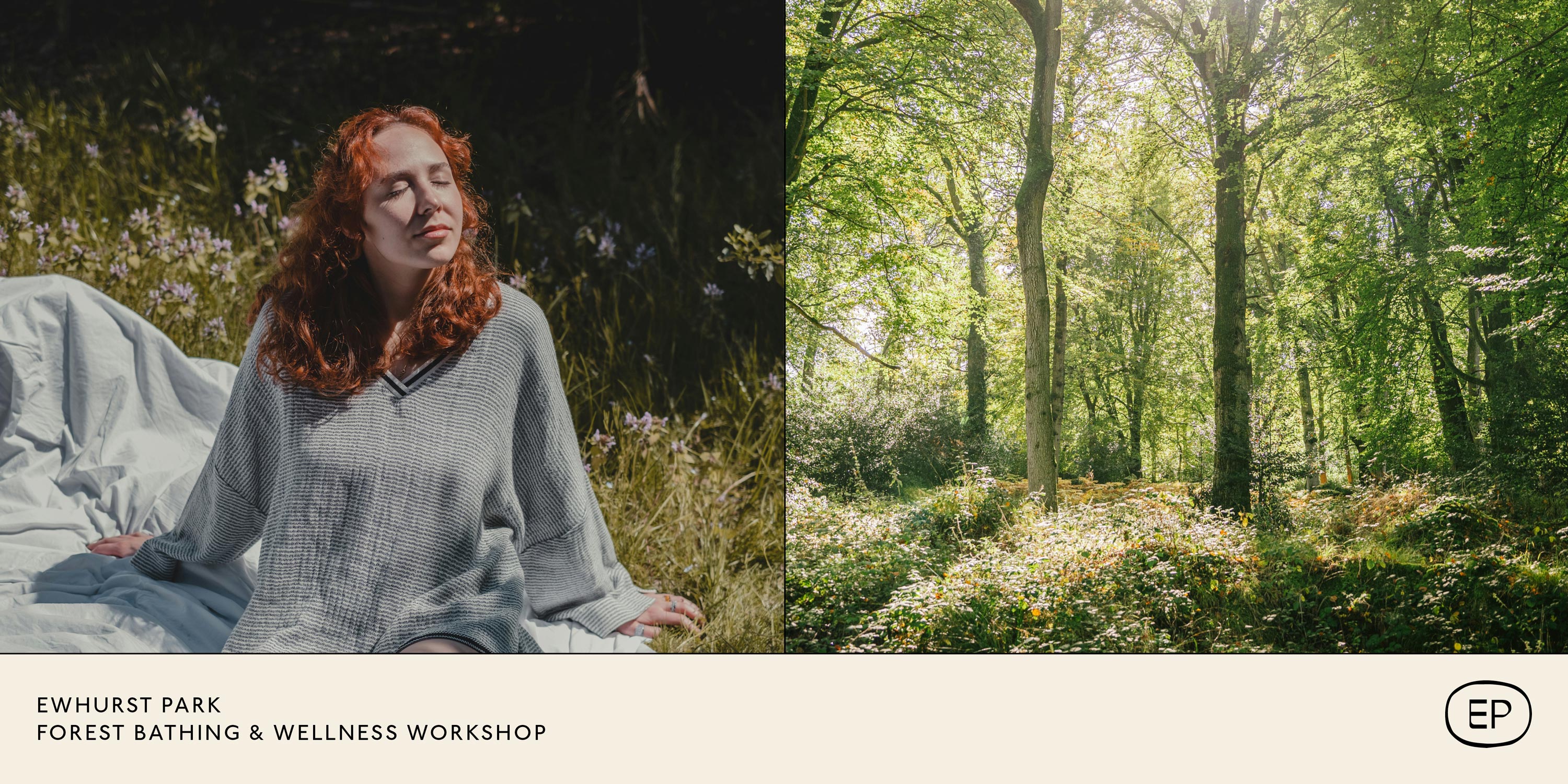 Ewhurst Park woods and a woman who is wearning a white jumper. She has her eyes closed and in bathing in the sun.