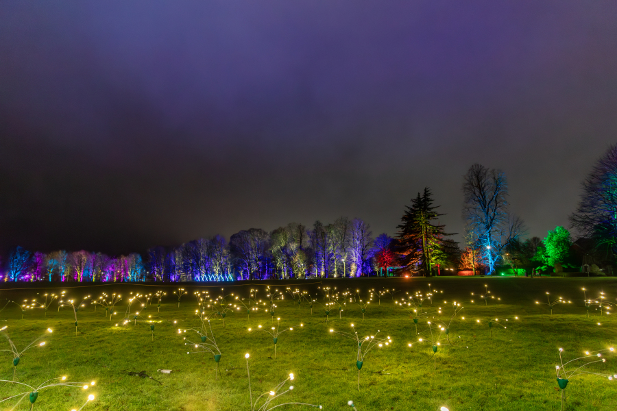 War Memorial Park in Basingstoke and Deane covered in colourful lights as part of a light trail event.
