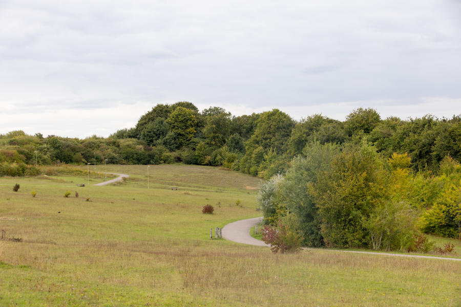 A landscape shot of Beggarwood Park on a dry but cloudy day. Trees and bushes are green.