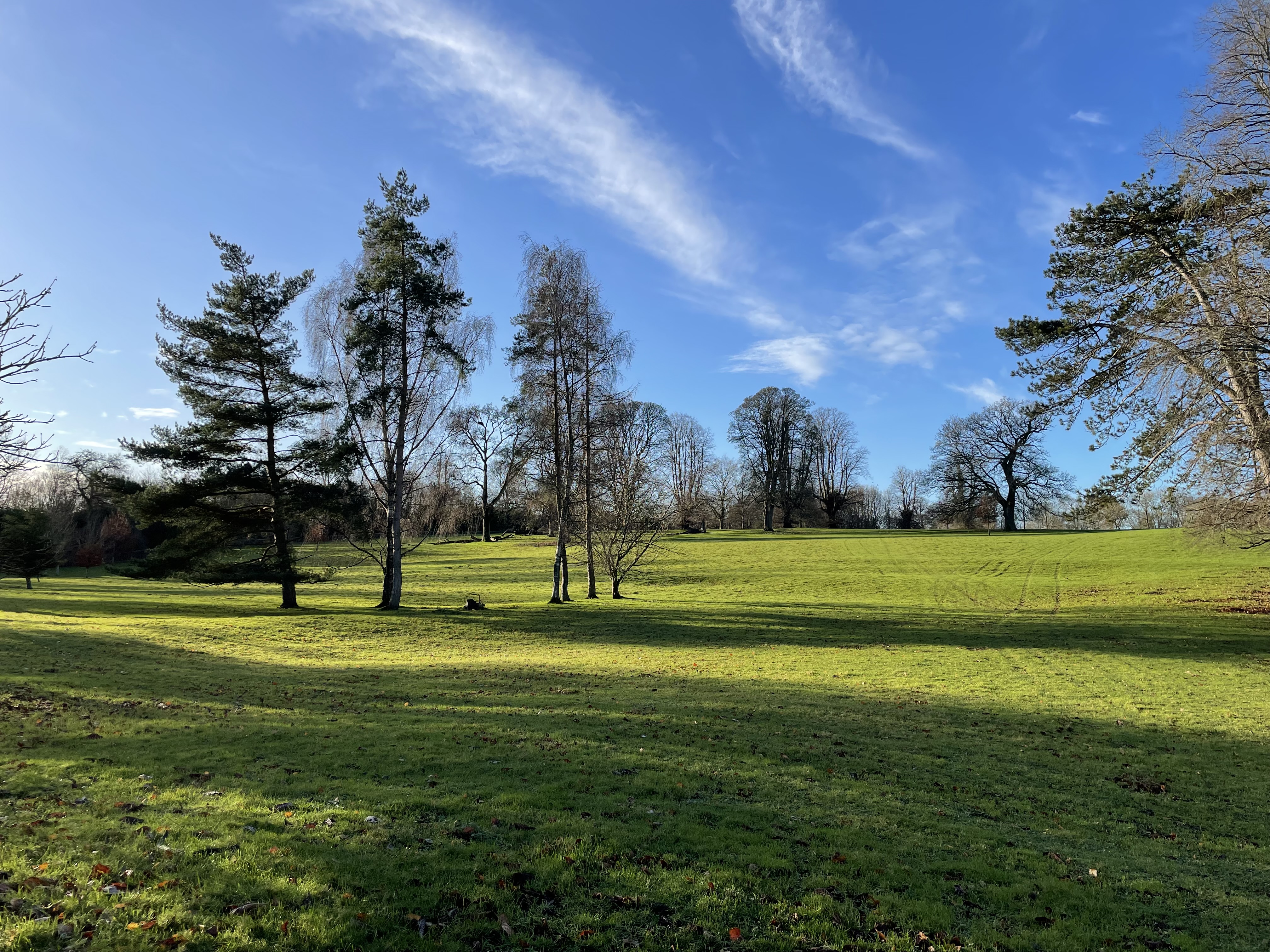 A scenic landscape photograph taken of the grounds of Deane House. A large landscaped lawn with sparce trees on a bright sunny day in Winter.