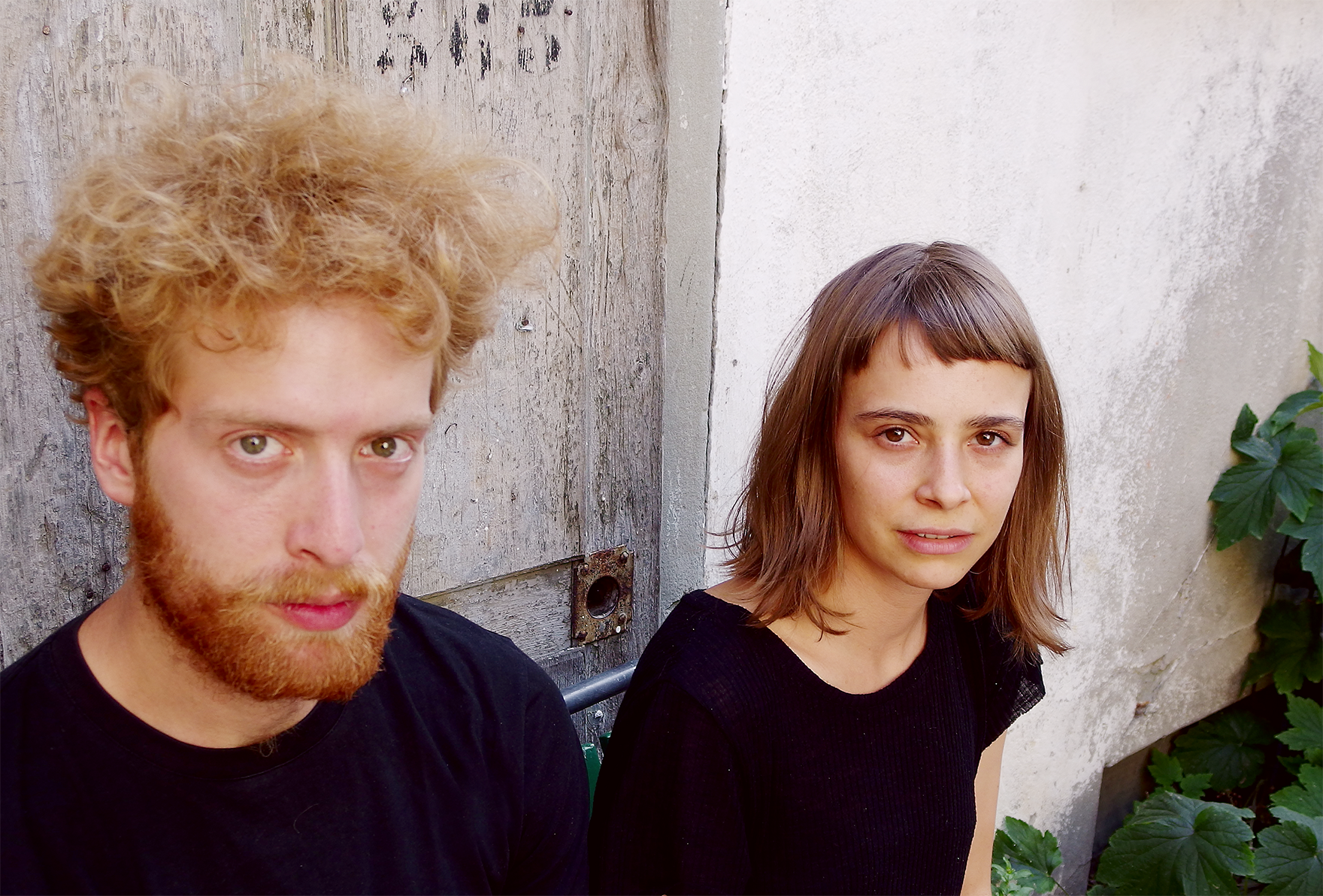 Zimmermann / Lienhard