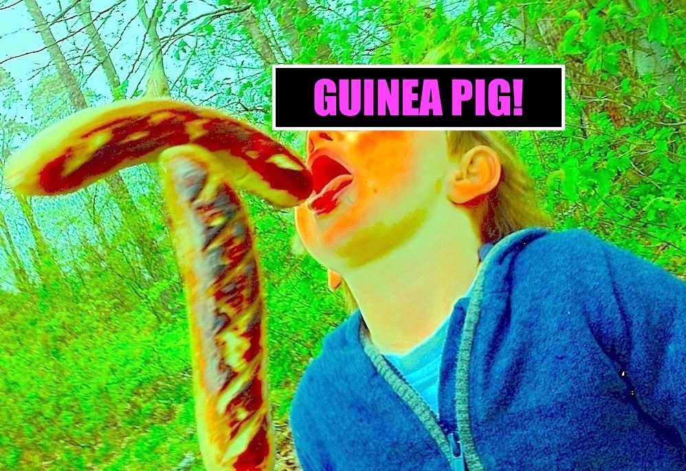 Guinea Pig!