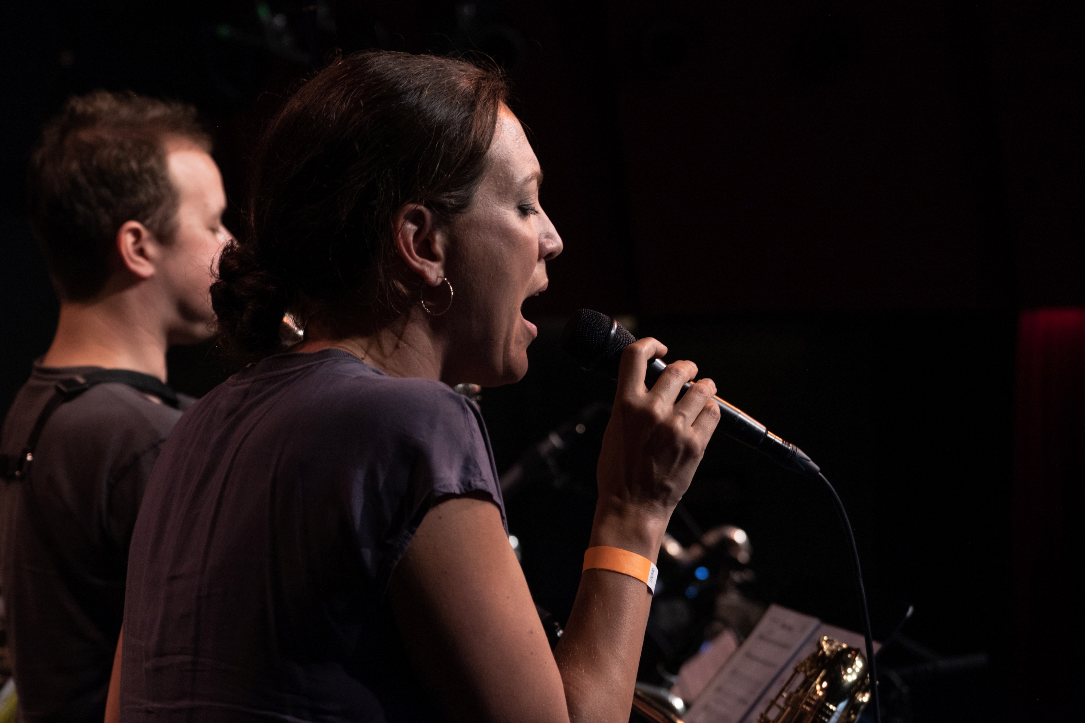 Zurich Jazz Orchestra feat. Karin Meier