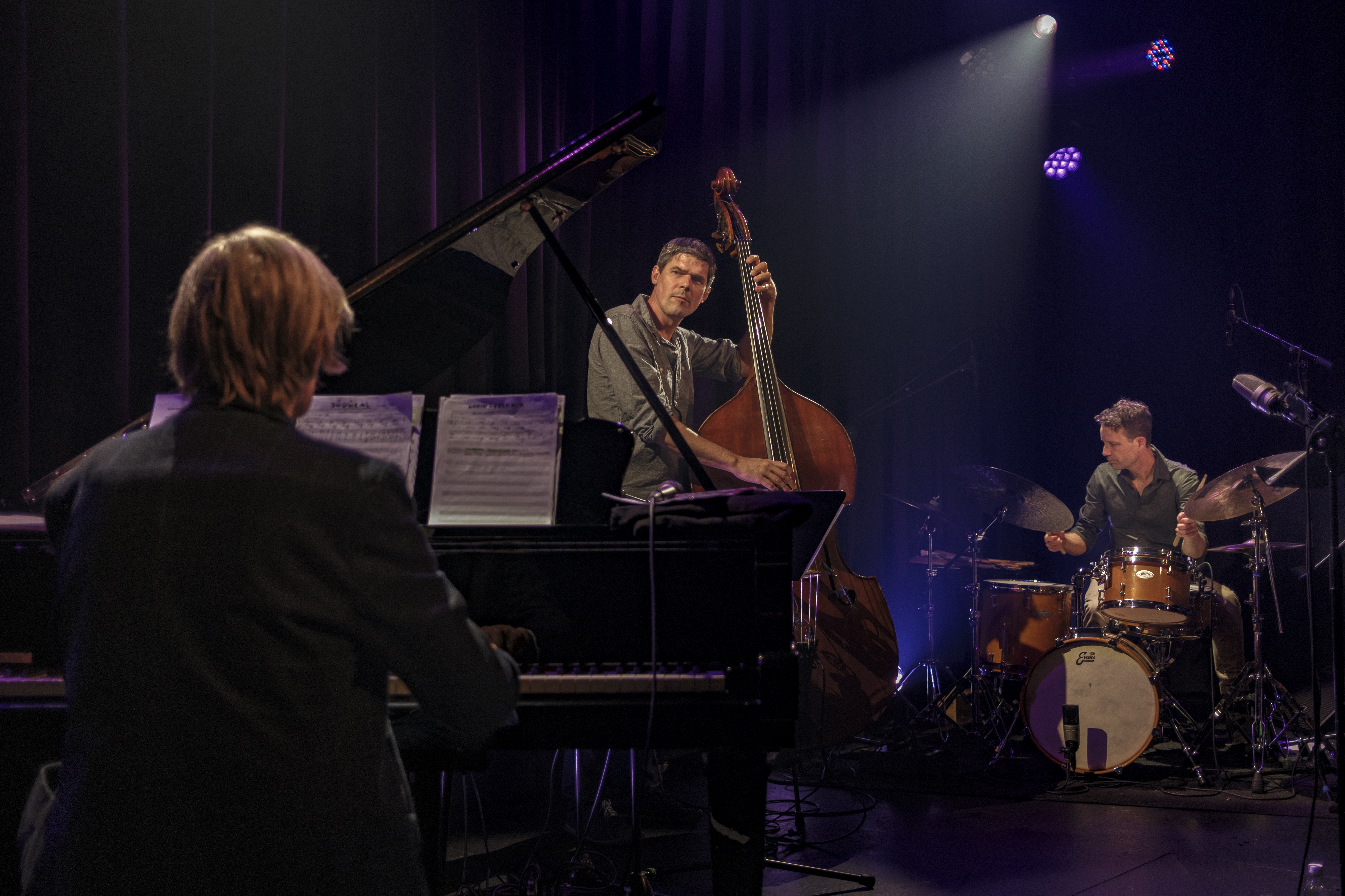 Klaus Koenig Jazz Live Trio