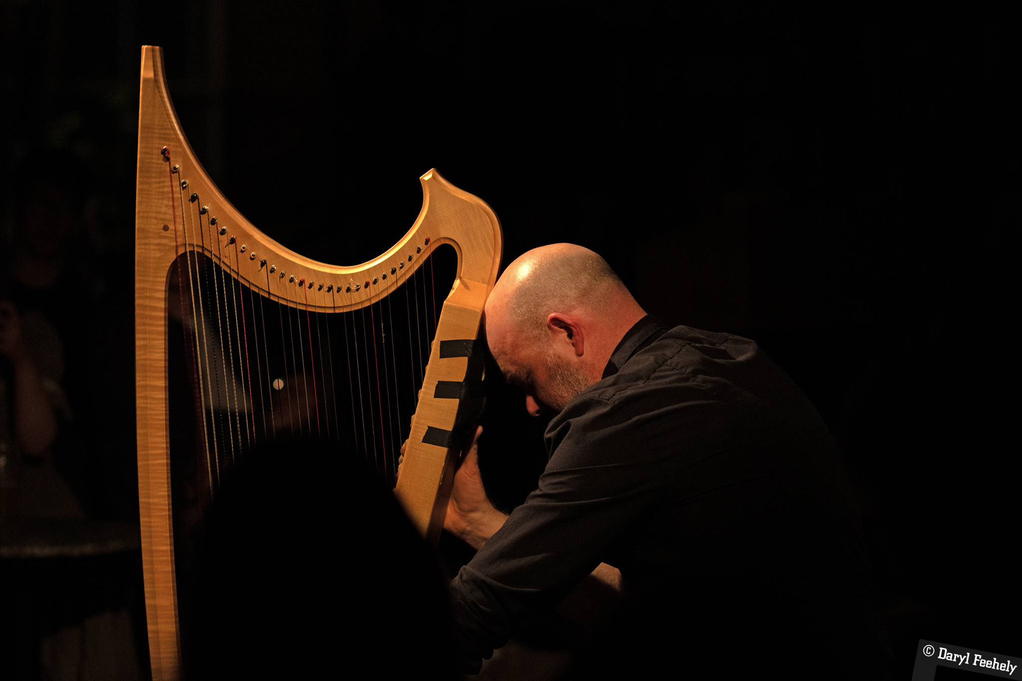 Rhodri Davies