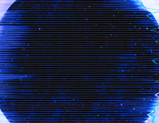 Project Venus