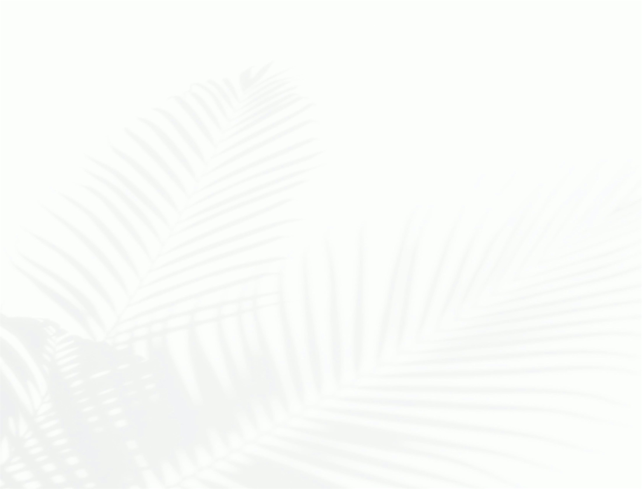 Doctor Media Background