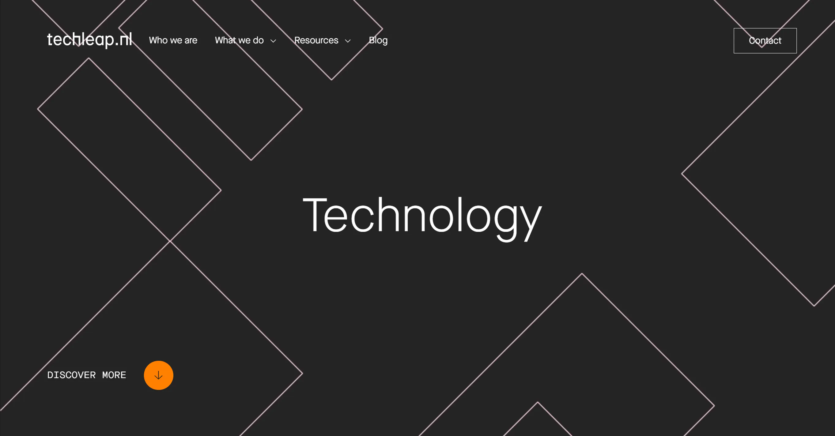 page capture from techleap website