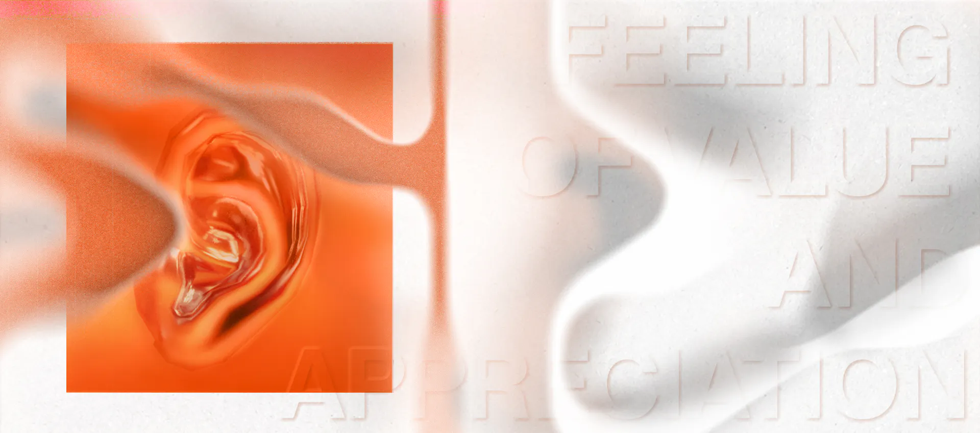 Why Wonderland? (Idea Page) A visual of an orange ear and faded text that reads: feeling of value and appreciation"