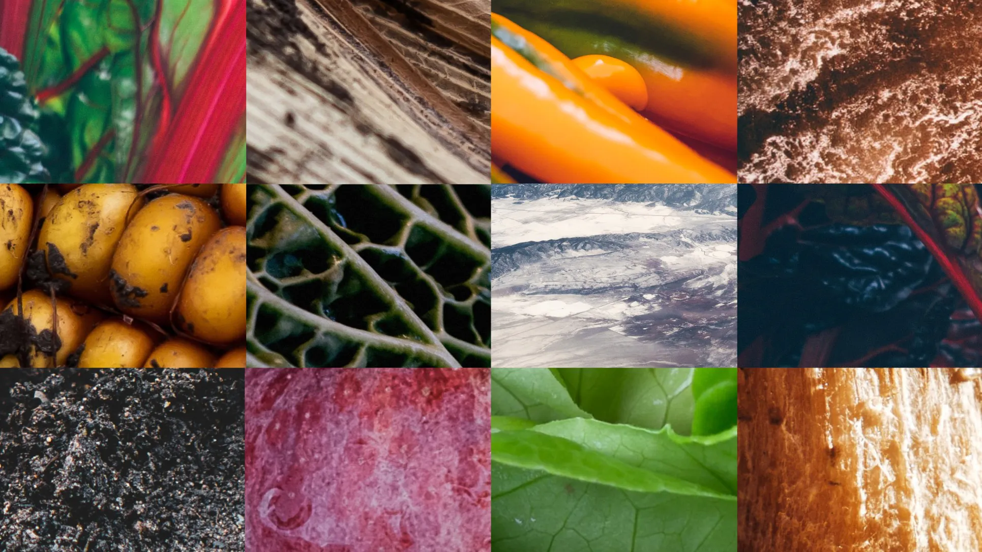 12 image gallery of natural items and scenes - Source.ag (Work page)