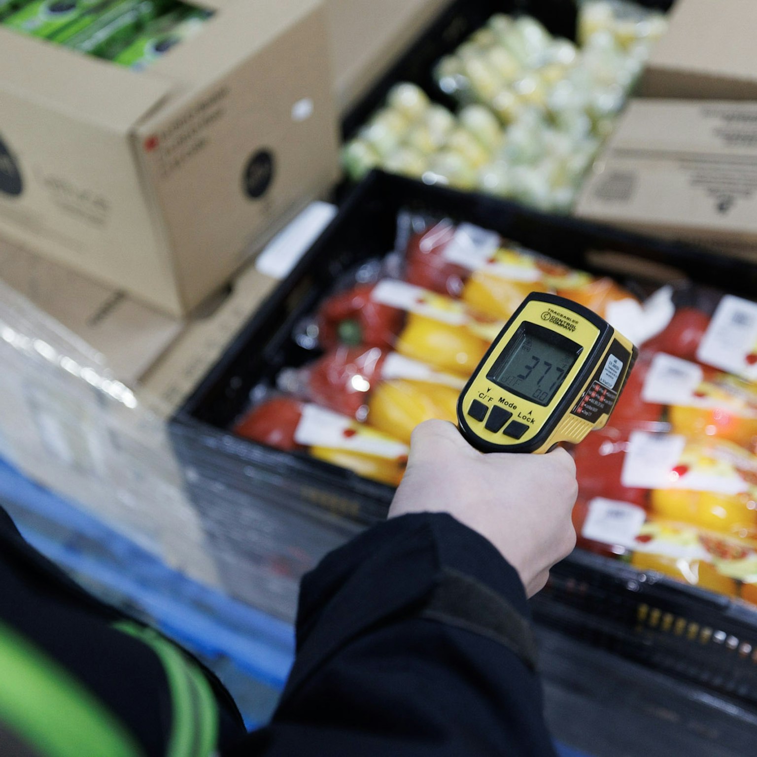 An employee of the Borea division of the Morneau Group working in the company's refrigerated warehouse.