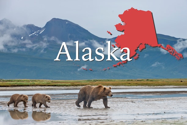 The shape of Alaska and a photo of a mother bear with two cubs