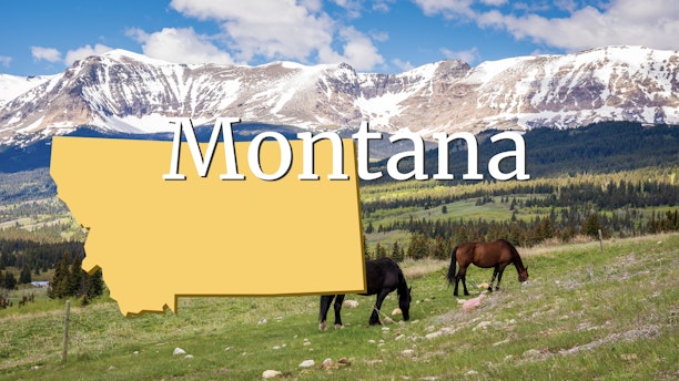 Montana mountain range with horses grazing in a field in the foreground