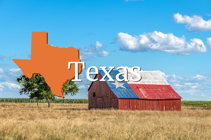 Barn with the Texas flag on its roof in a field under a blue sky